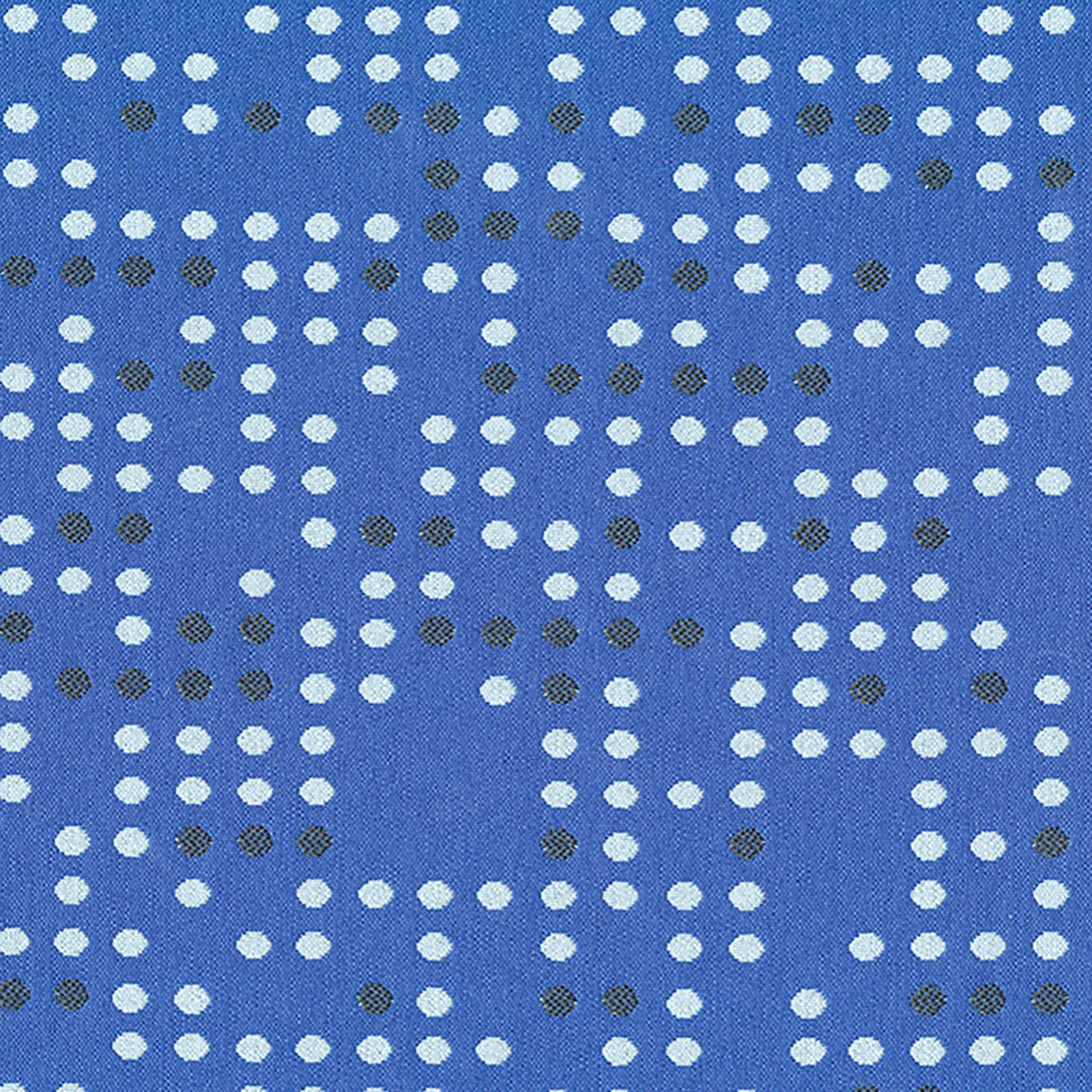 Punch Card - Blue Jay