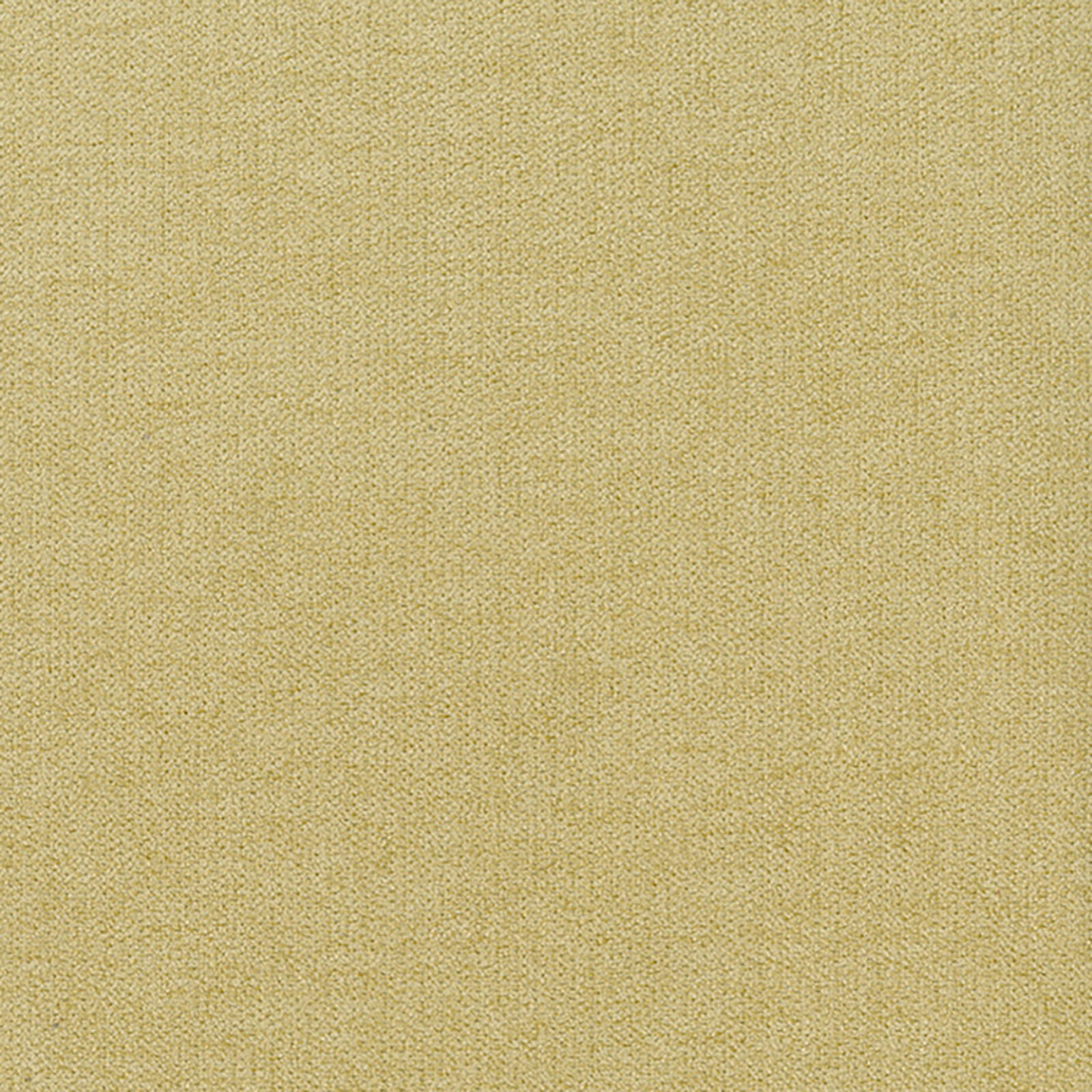 Venue - Cornsilk