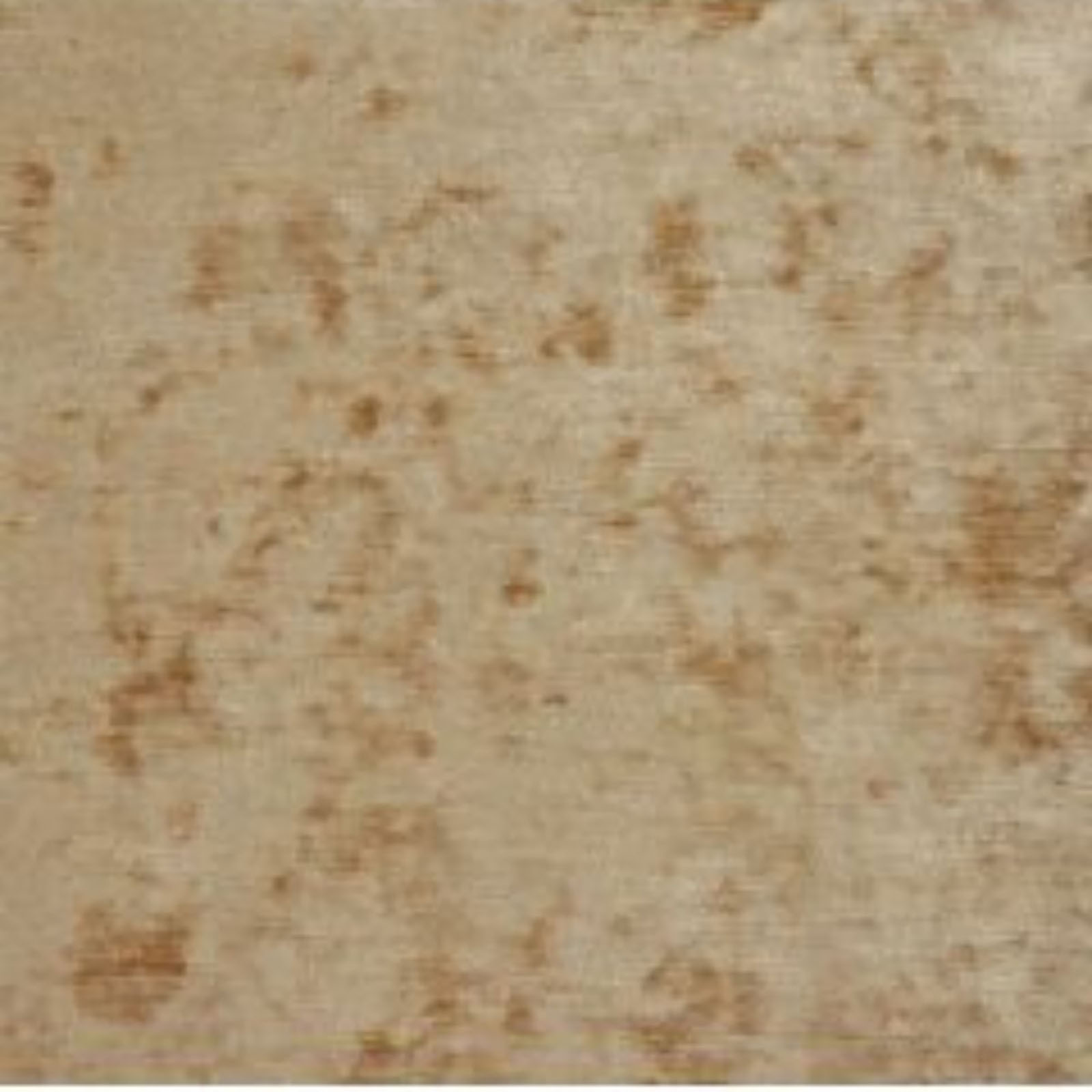 Monterey Plain - Toast