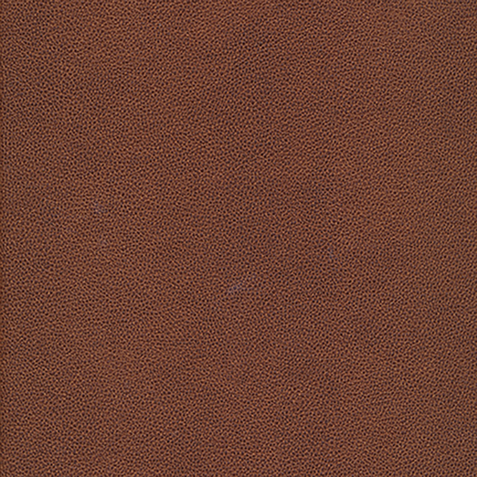 Aire Si - Maya - Acorn