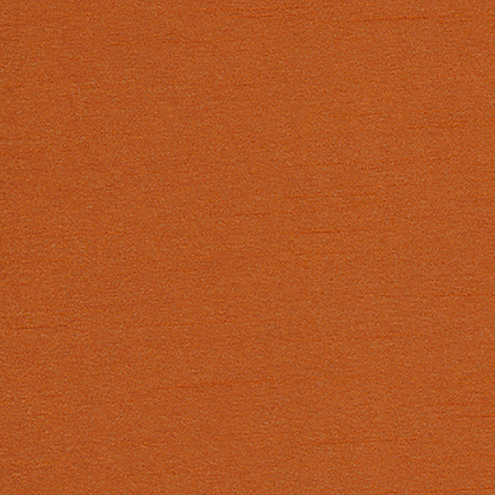 Blackout - Corelli - Coral