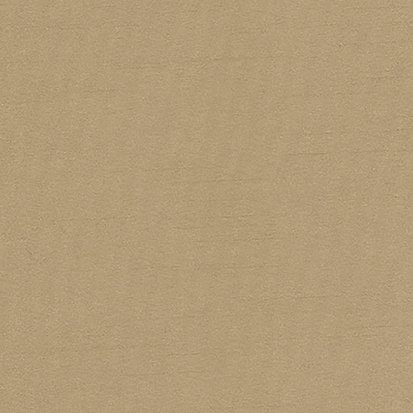 Blackout - Corelli - Limestone