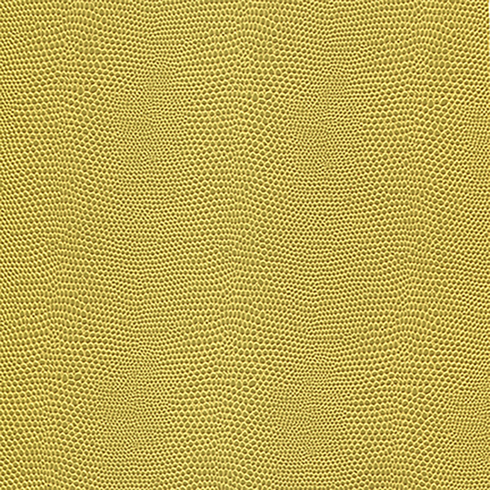 Harmony - Moxie - Avocado