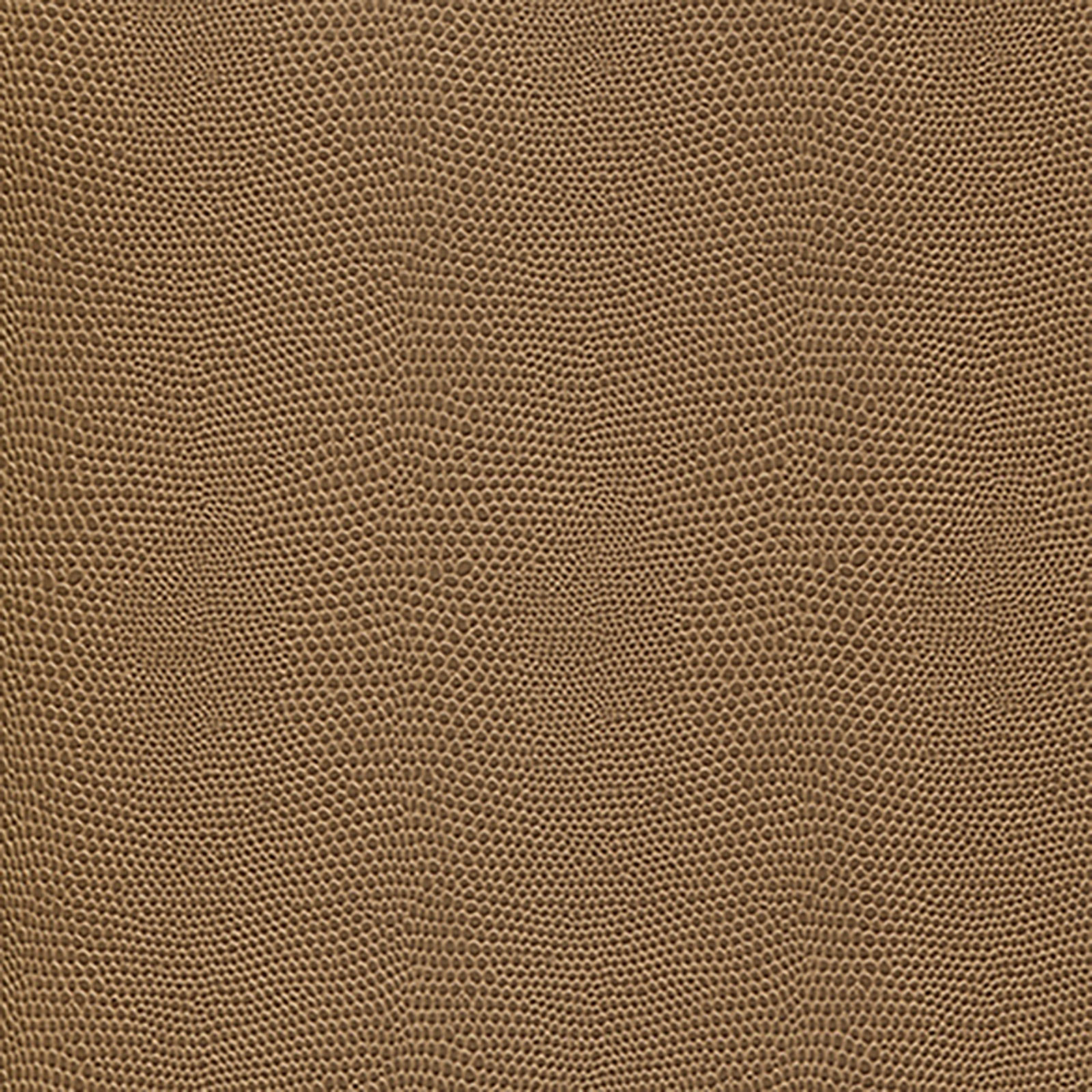 Harmony - Moxie - Birch
