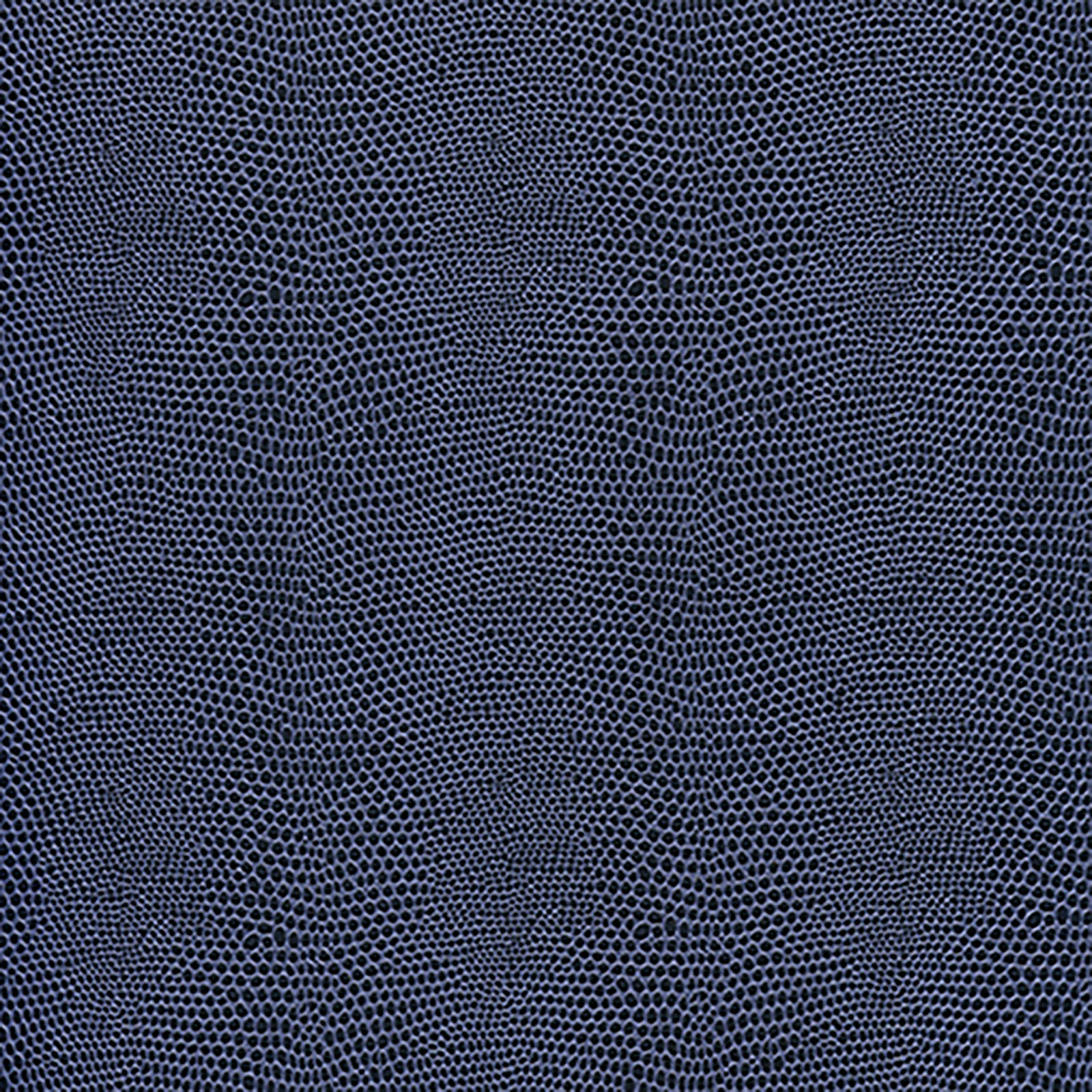 Harmony - Moxie - Blue Ink