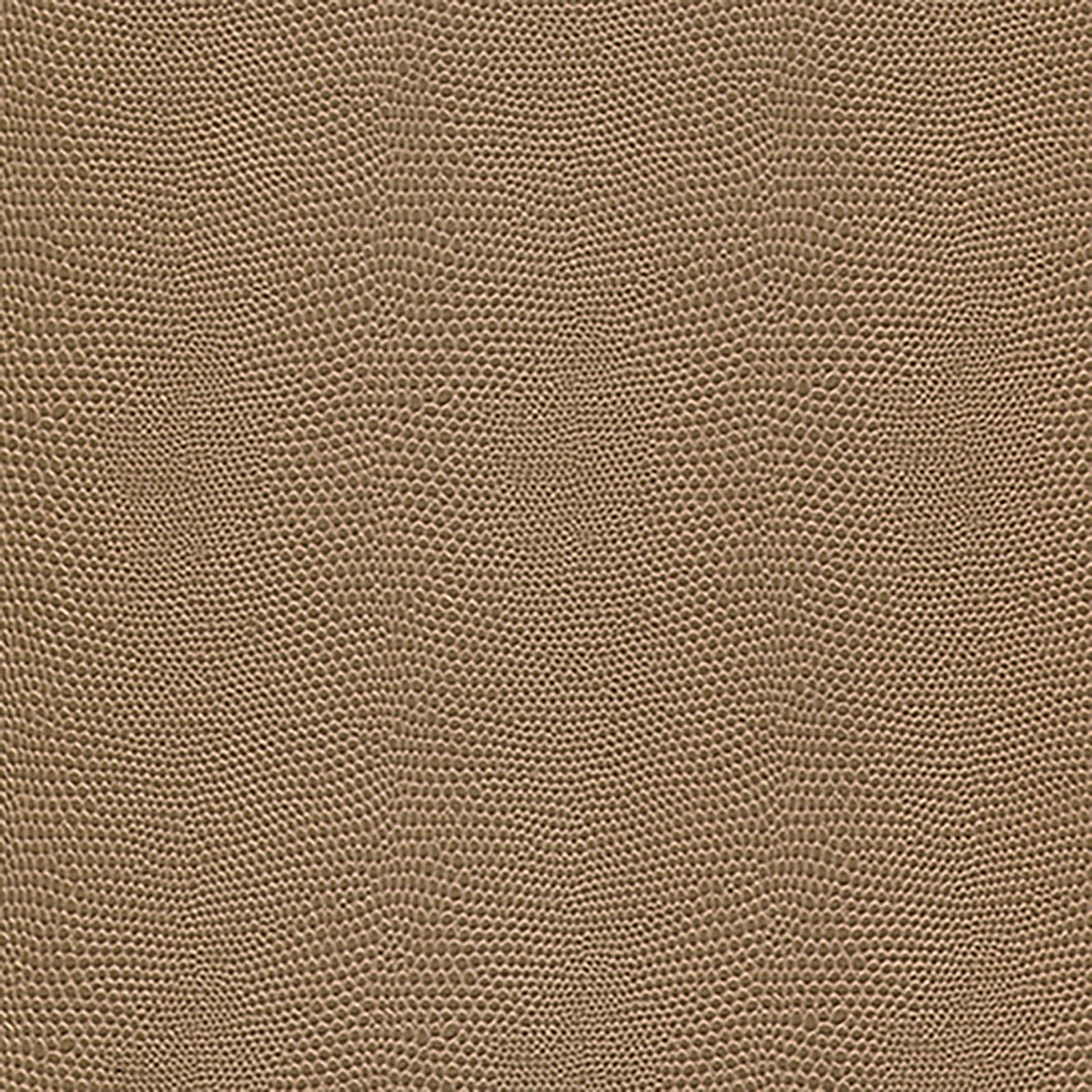 Harmony - Moxie - Cornsilk