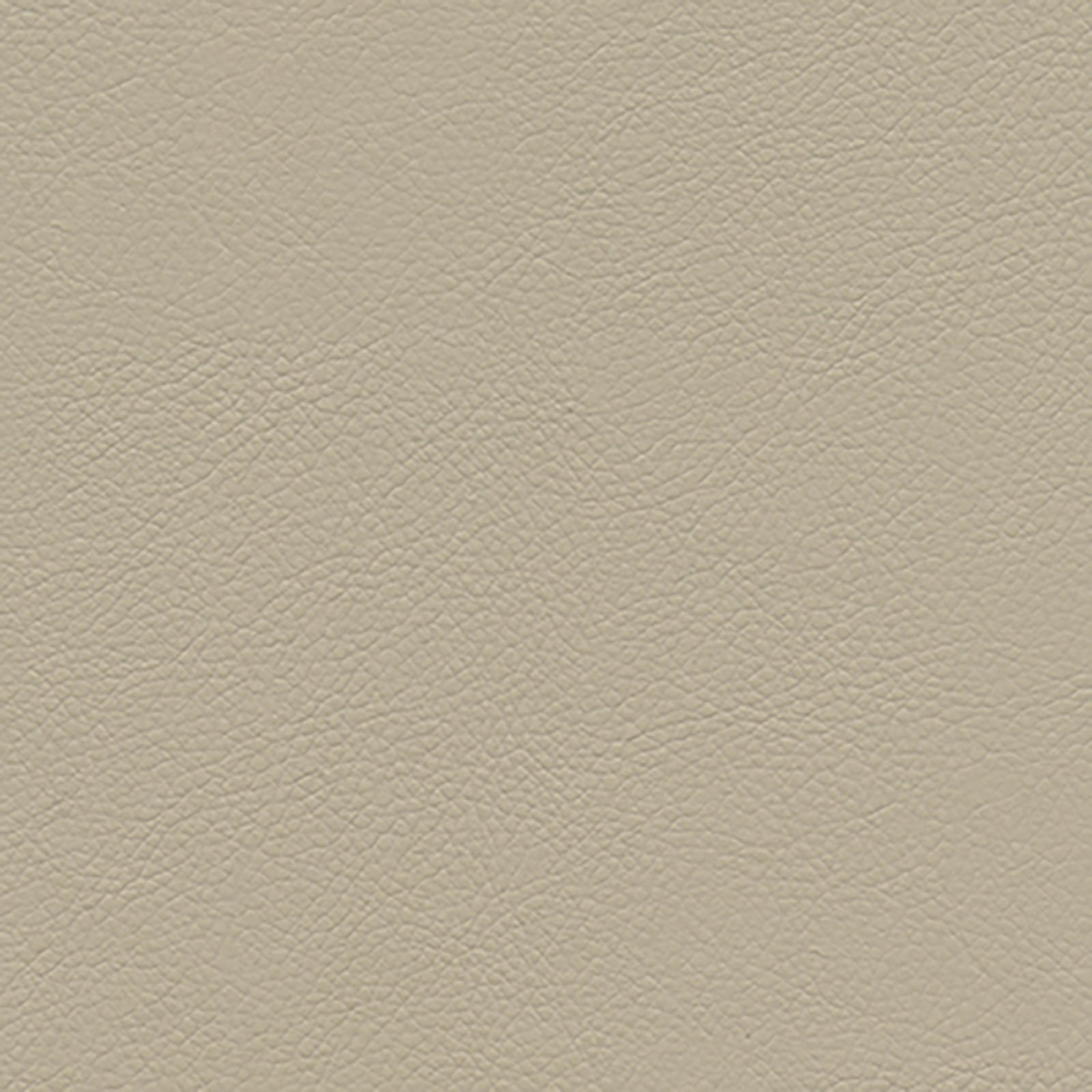 Harmony - Pebbled - Champagne