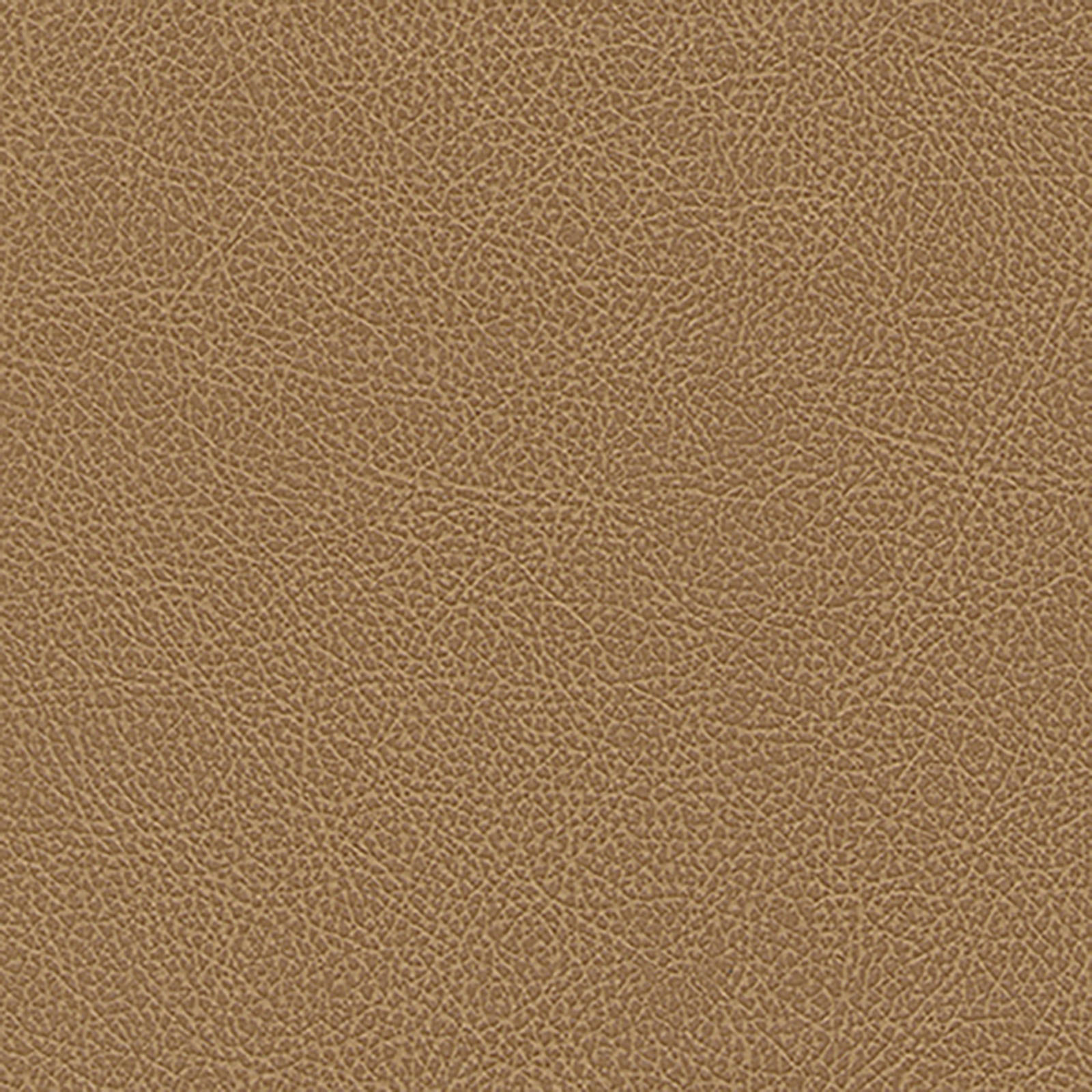 Harmony - Scotch Grain - Cornsilk