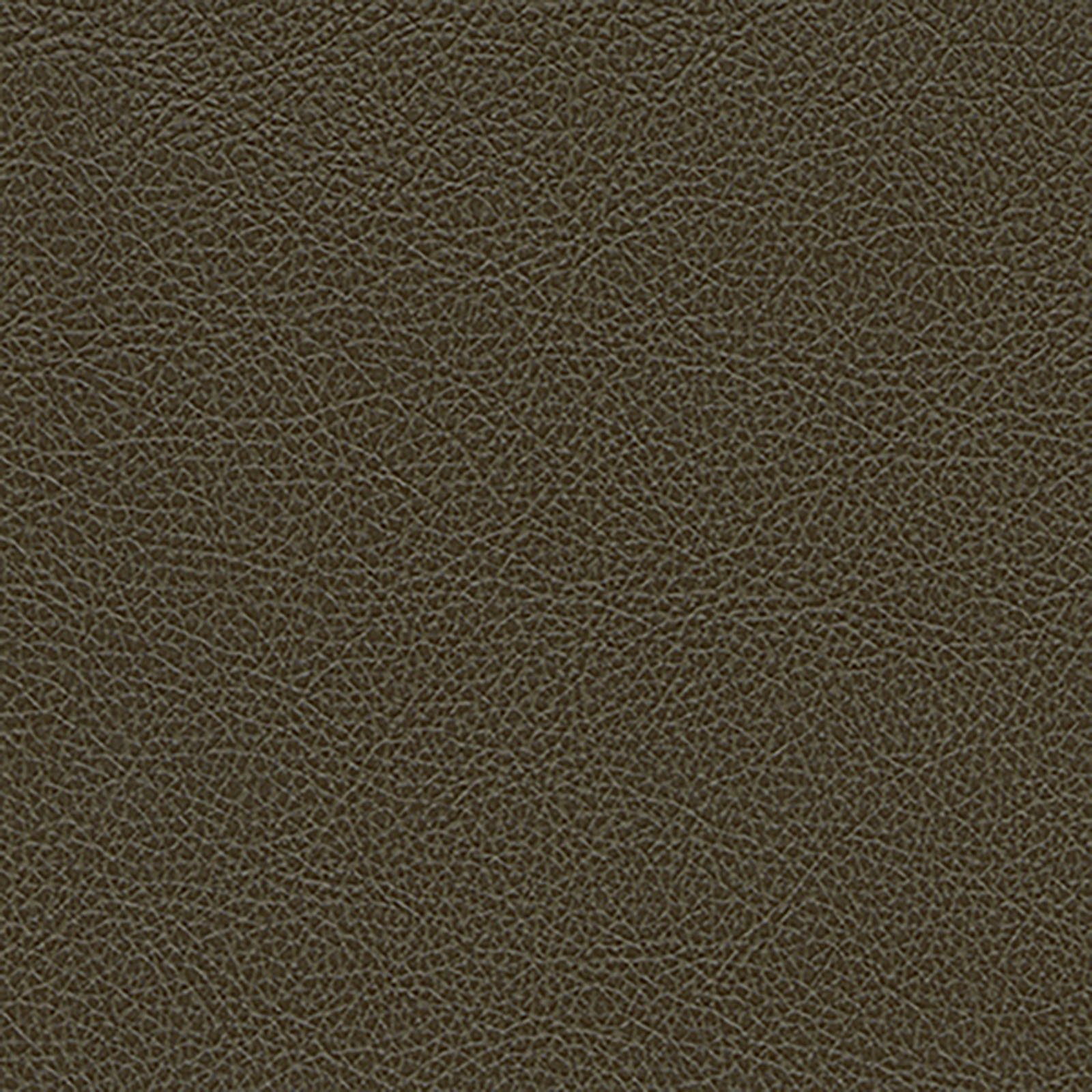 Harmony - Scotch Grain - Olive Oil