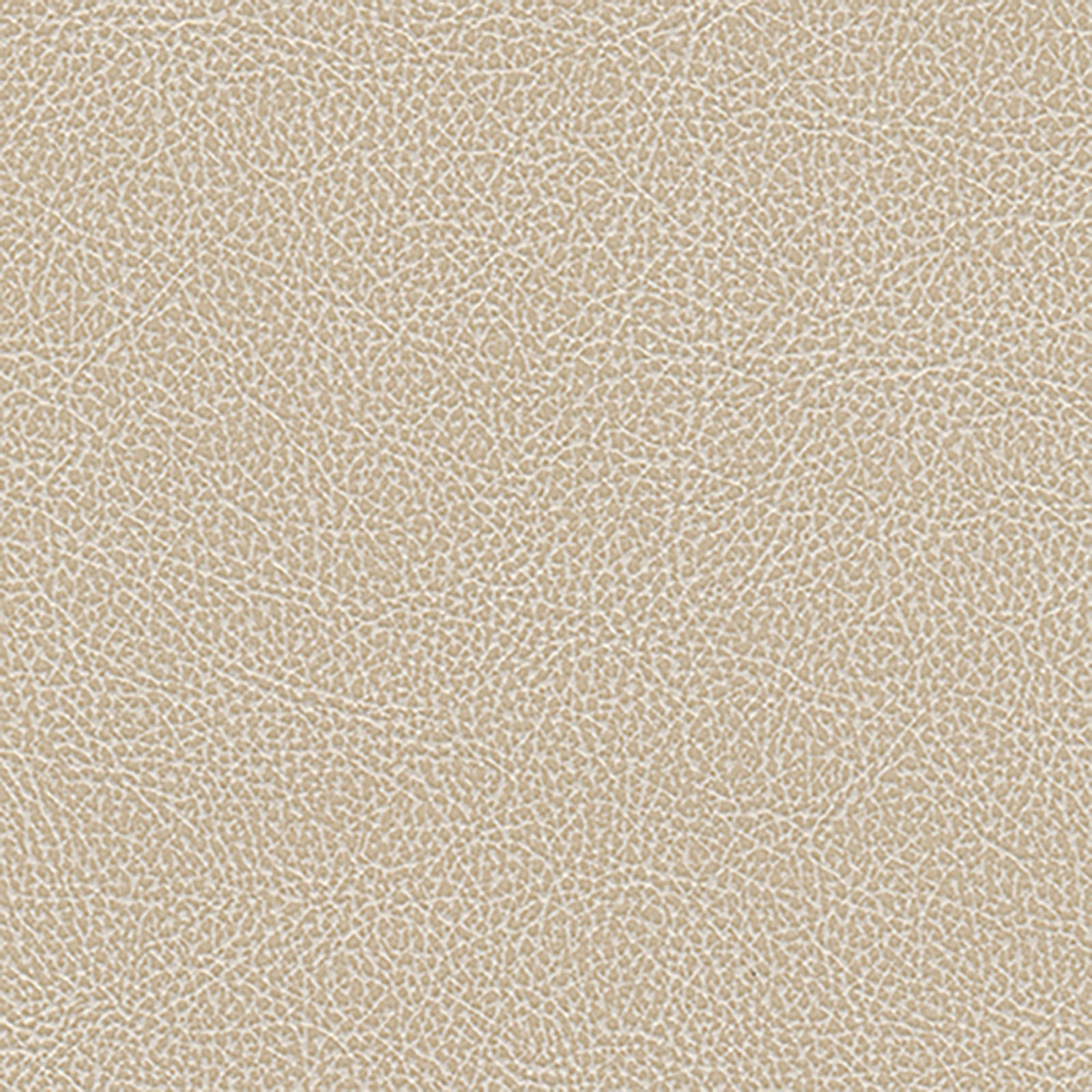 Harmony - Scotch Grain - Oyster