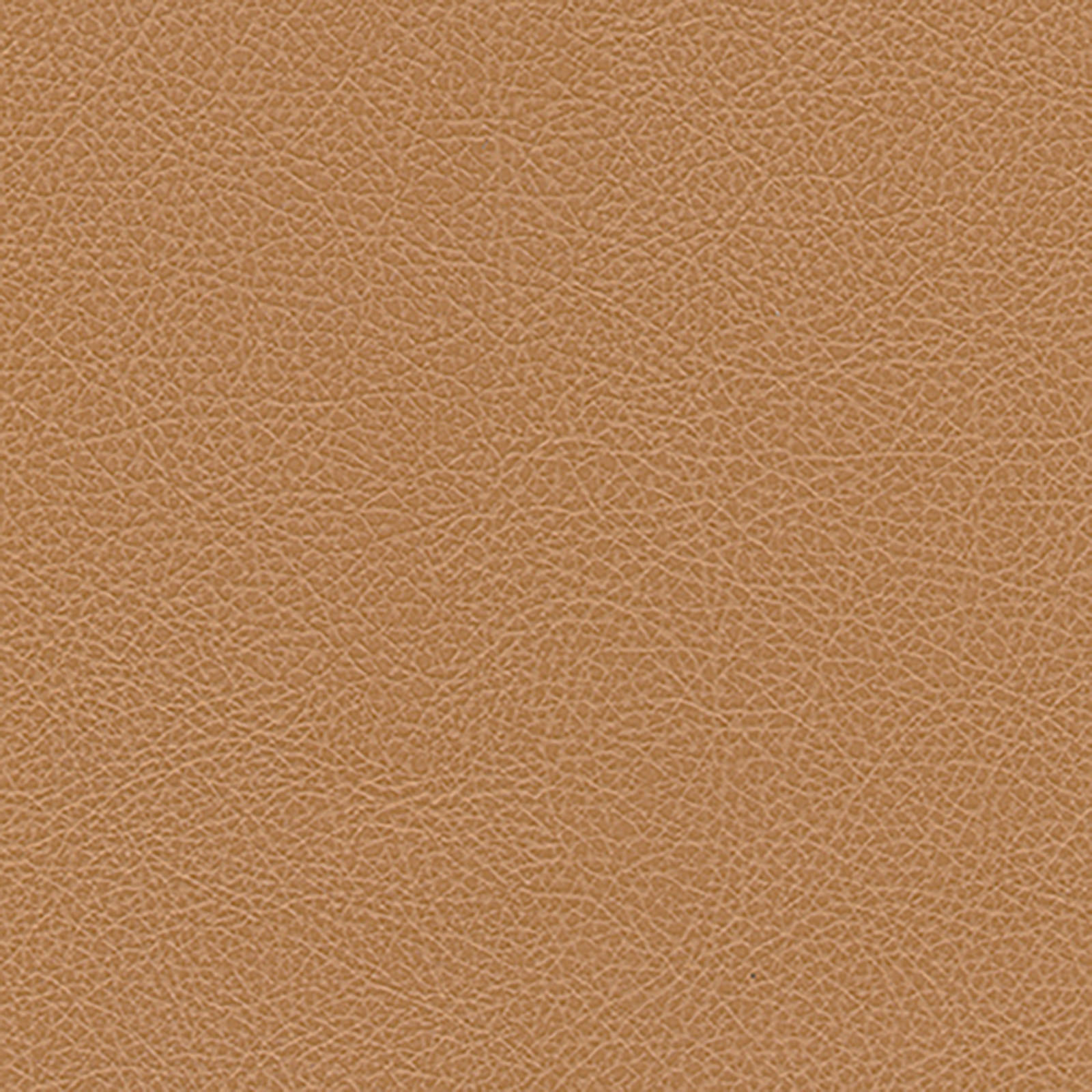 Harmony - Scotch Grain - Pecan