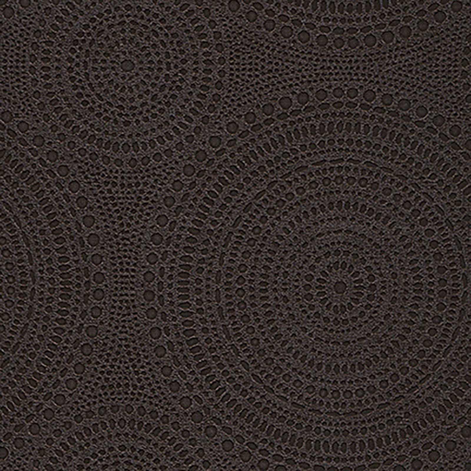 New Wave - Vercelli - Onyx
