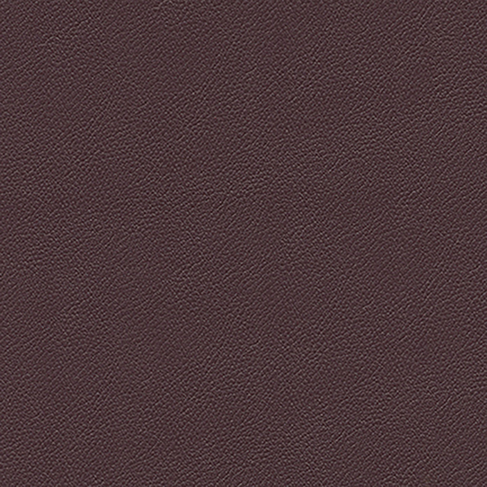 New Wave - Visage - Grape