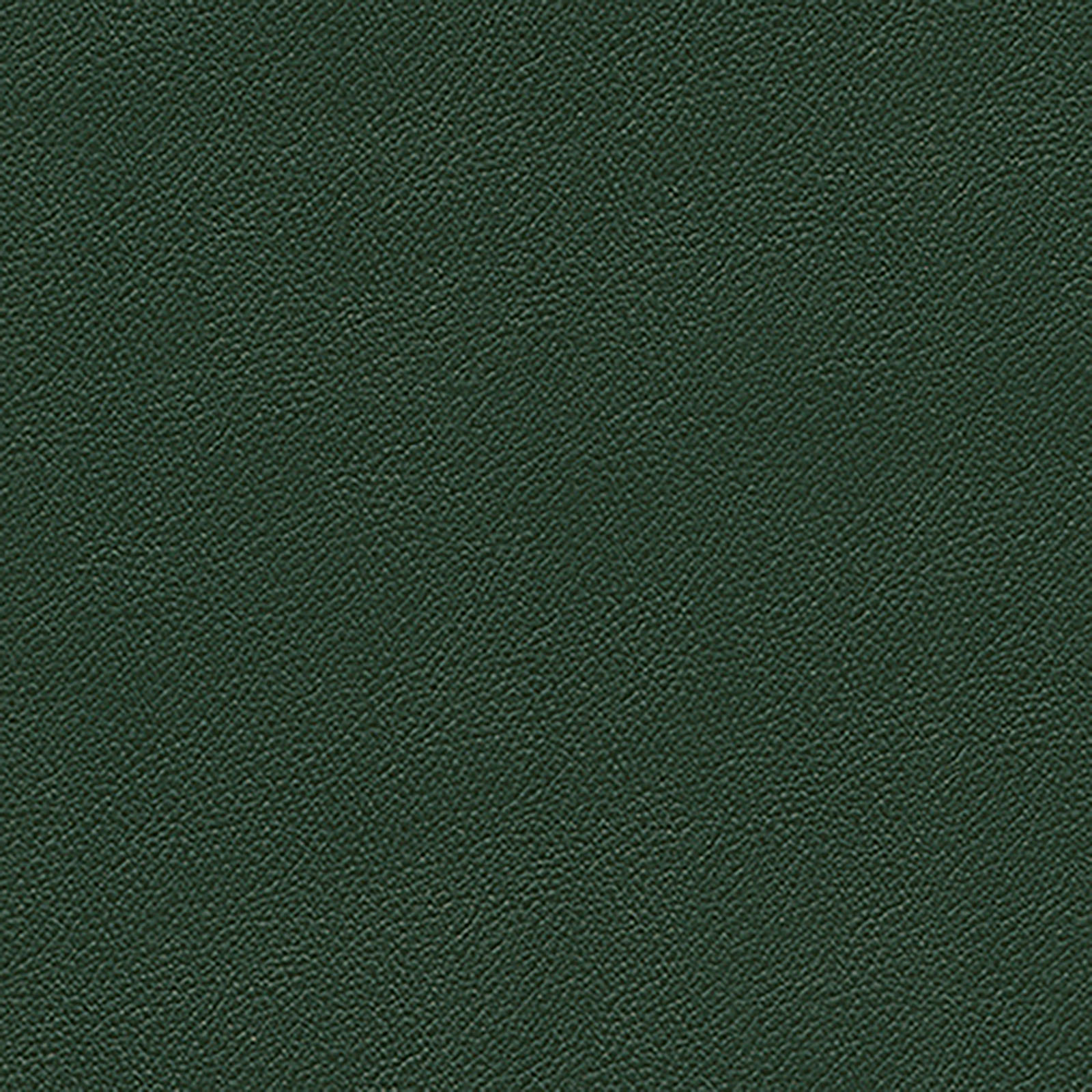 New Wave - Visage - Yew Green