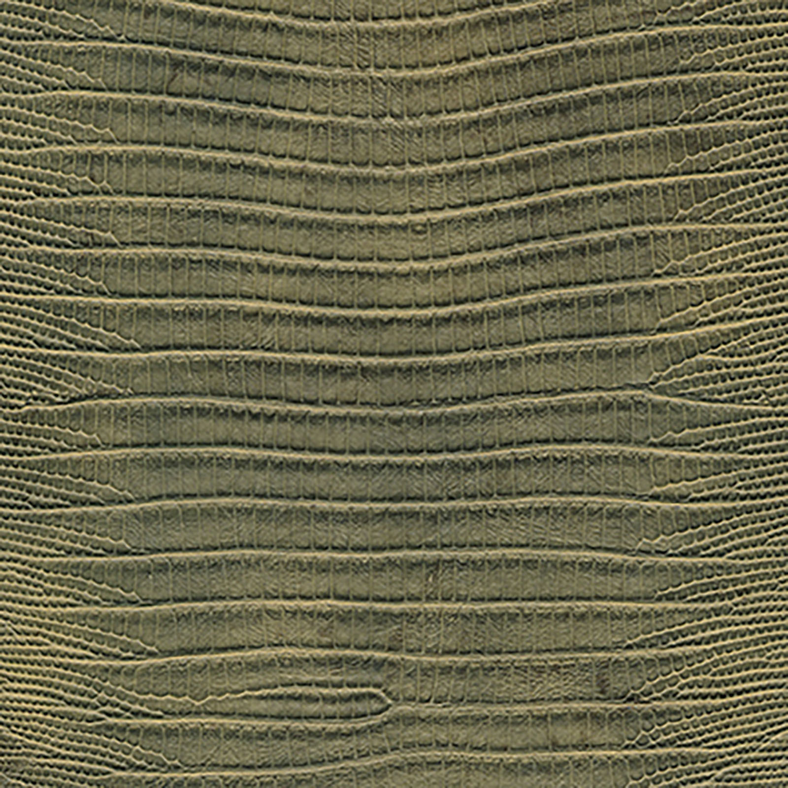 Nuvtex - Slither - Fern
