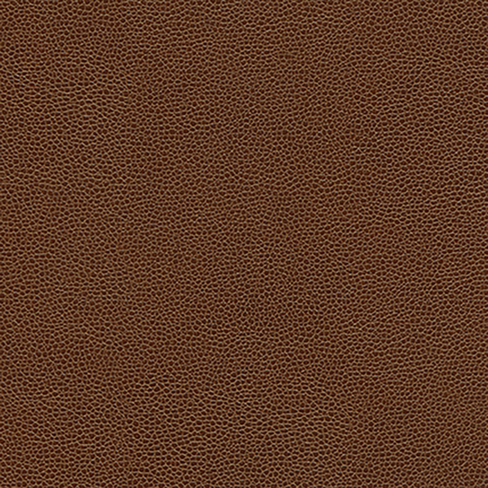 Skintex-Sf - Lychee Reloaded - Acorn