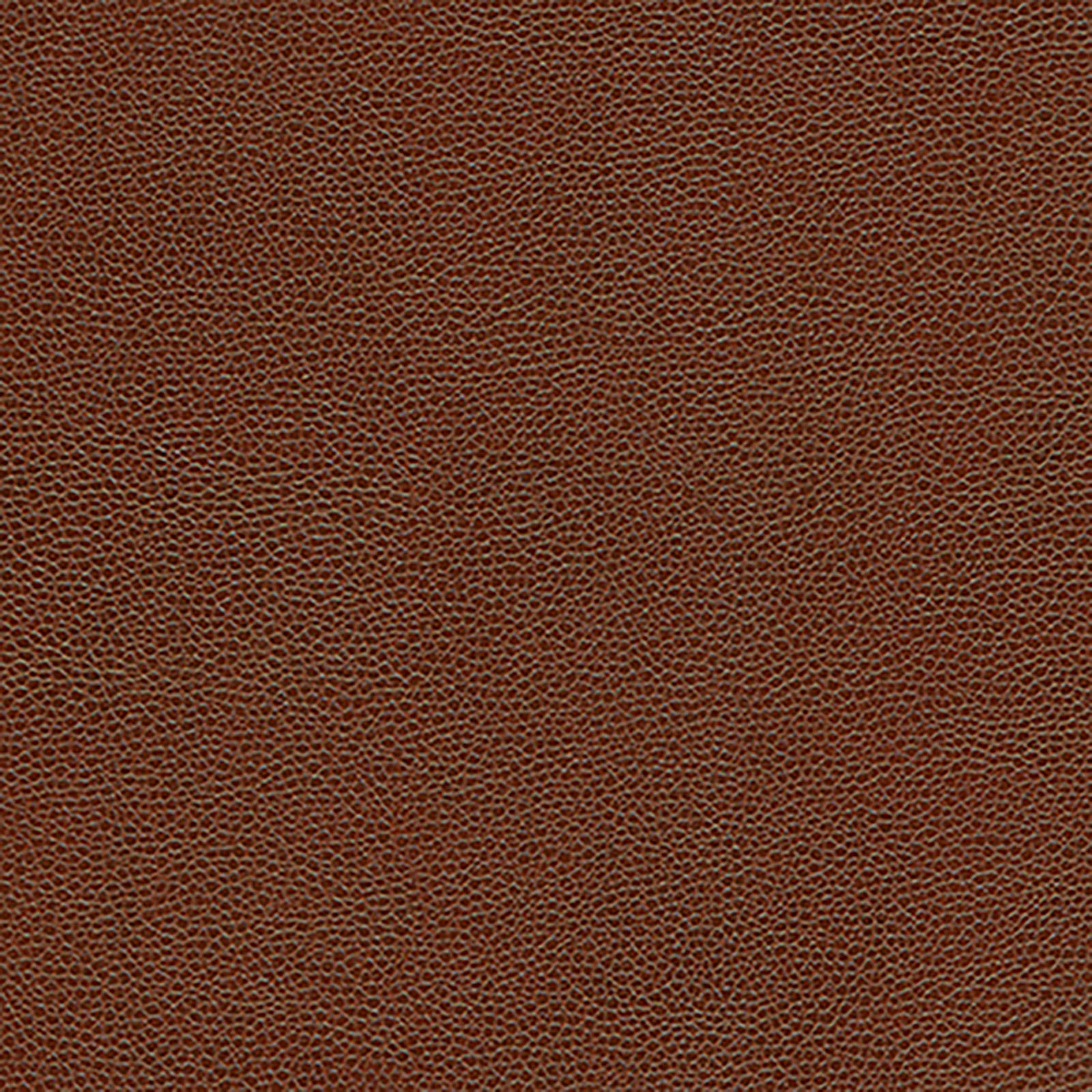 Skintex-Sf - Lychee Reloaded - Rustic Brown
