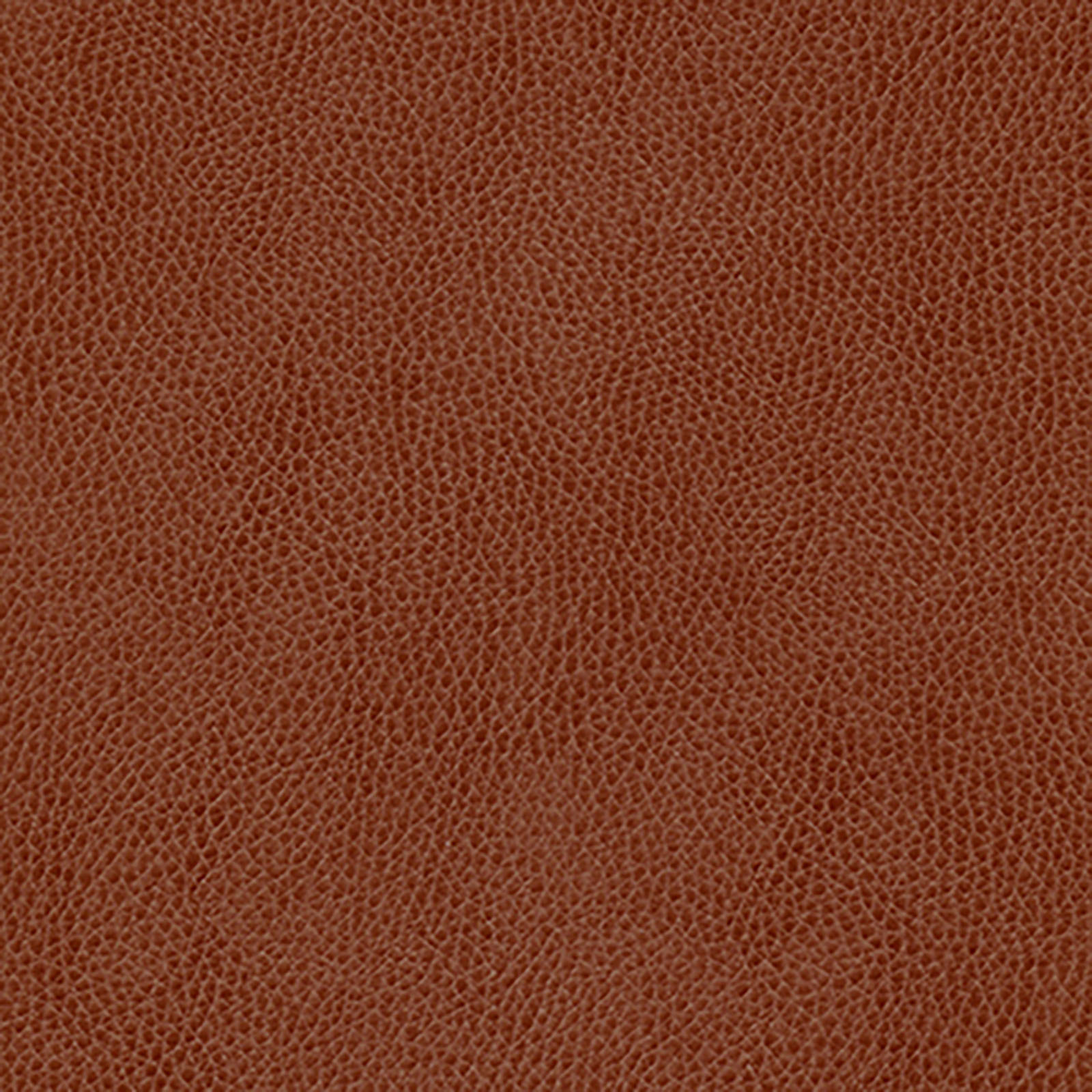 Skintex-Sf - Vintage - Brick