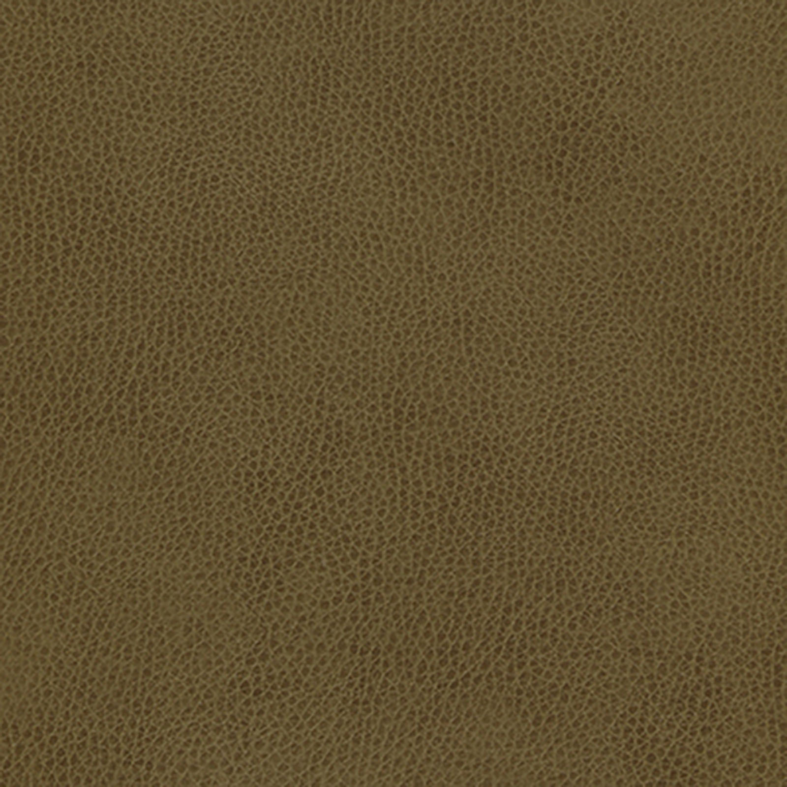 Skintex-Sf - Vintage - Cactus