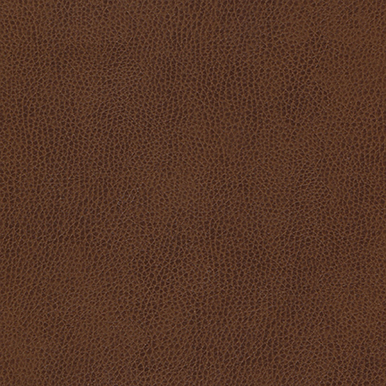 Skintex-Sf - Vintage - Cafe