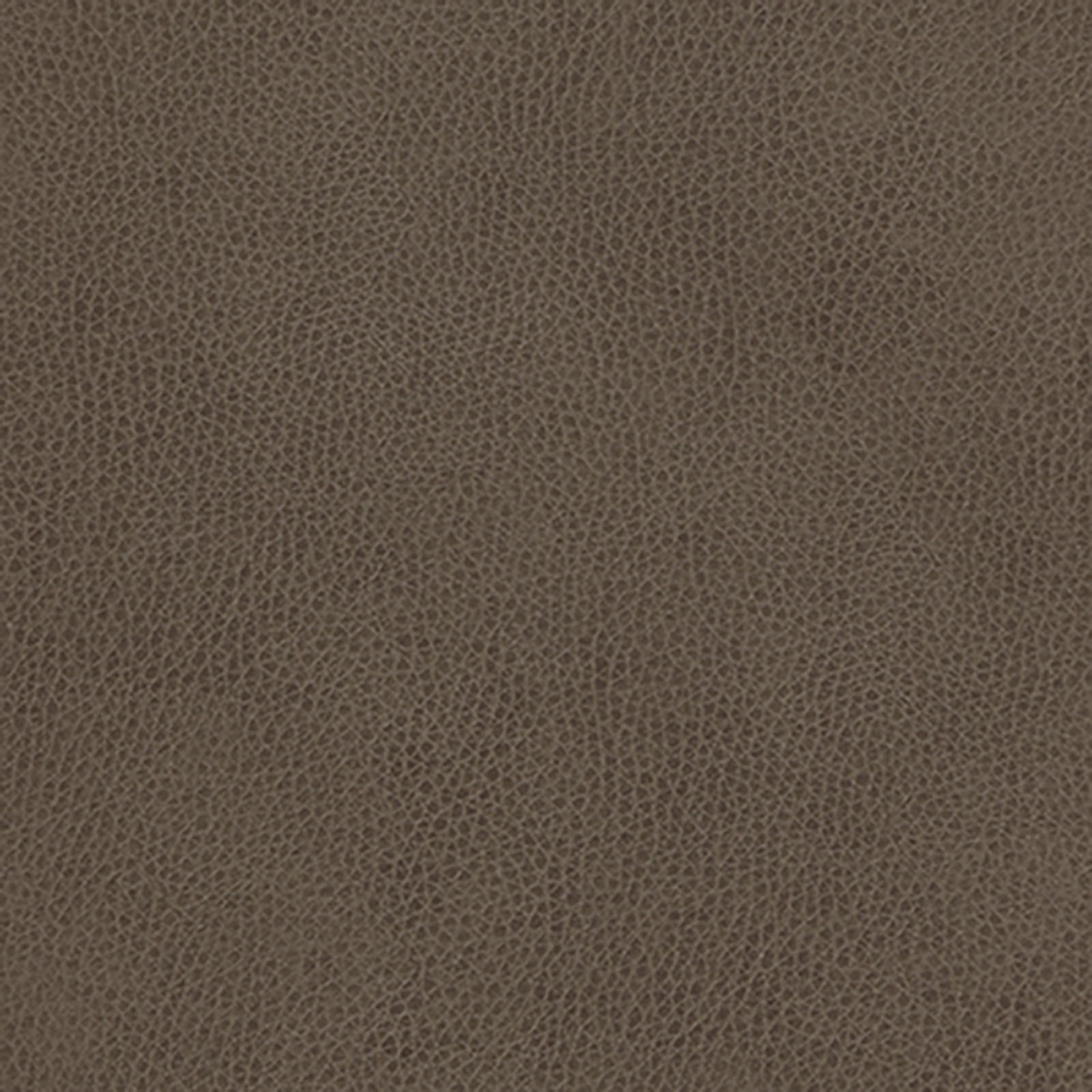 Skintex-Sf - Vintage - Haze