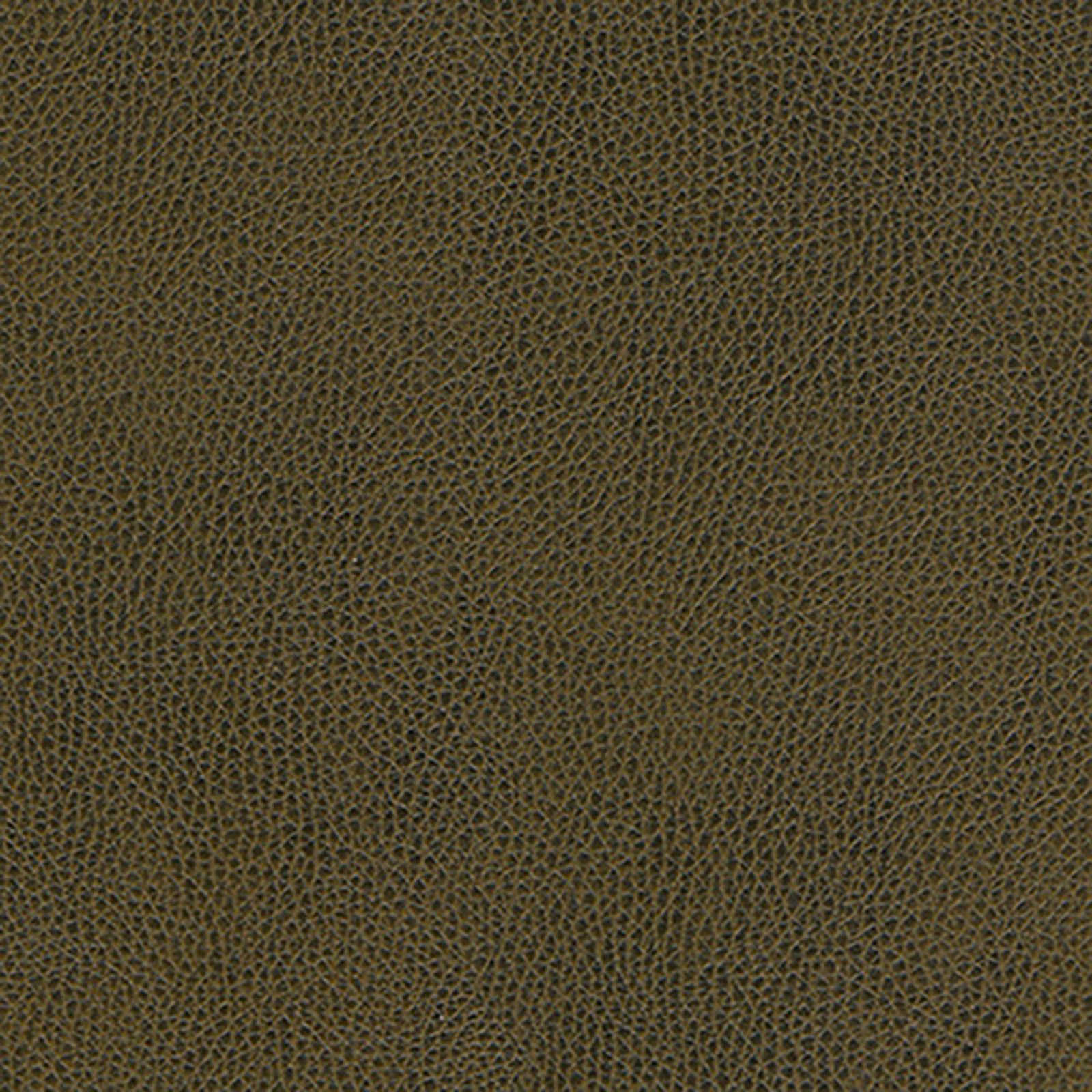 Skintex-Sf - Vintage - Meadow