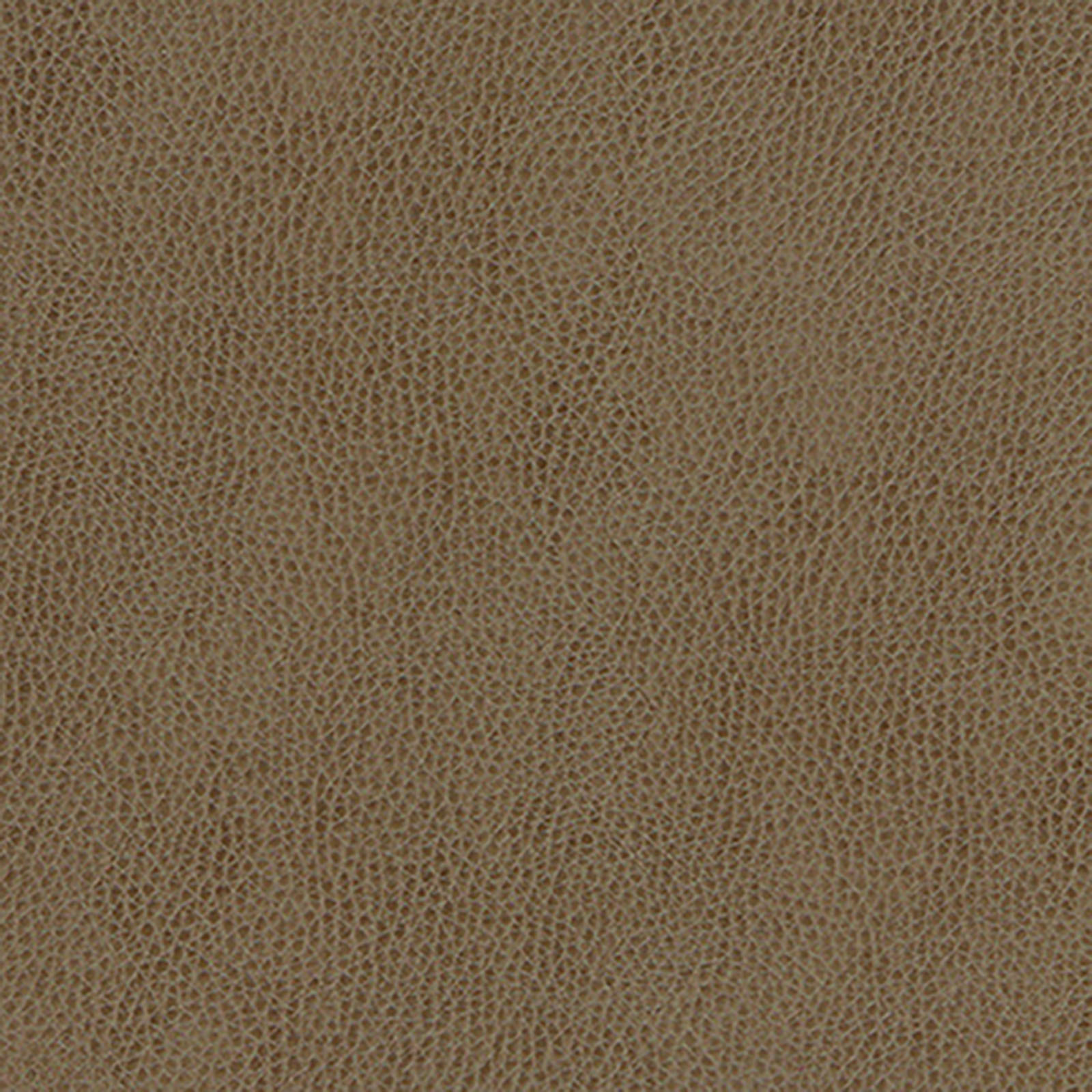 Skintex-Sf - Vintage - Mushroom