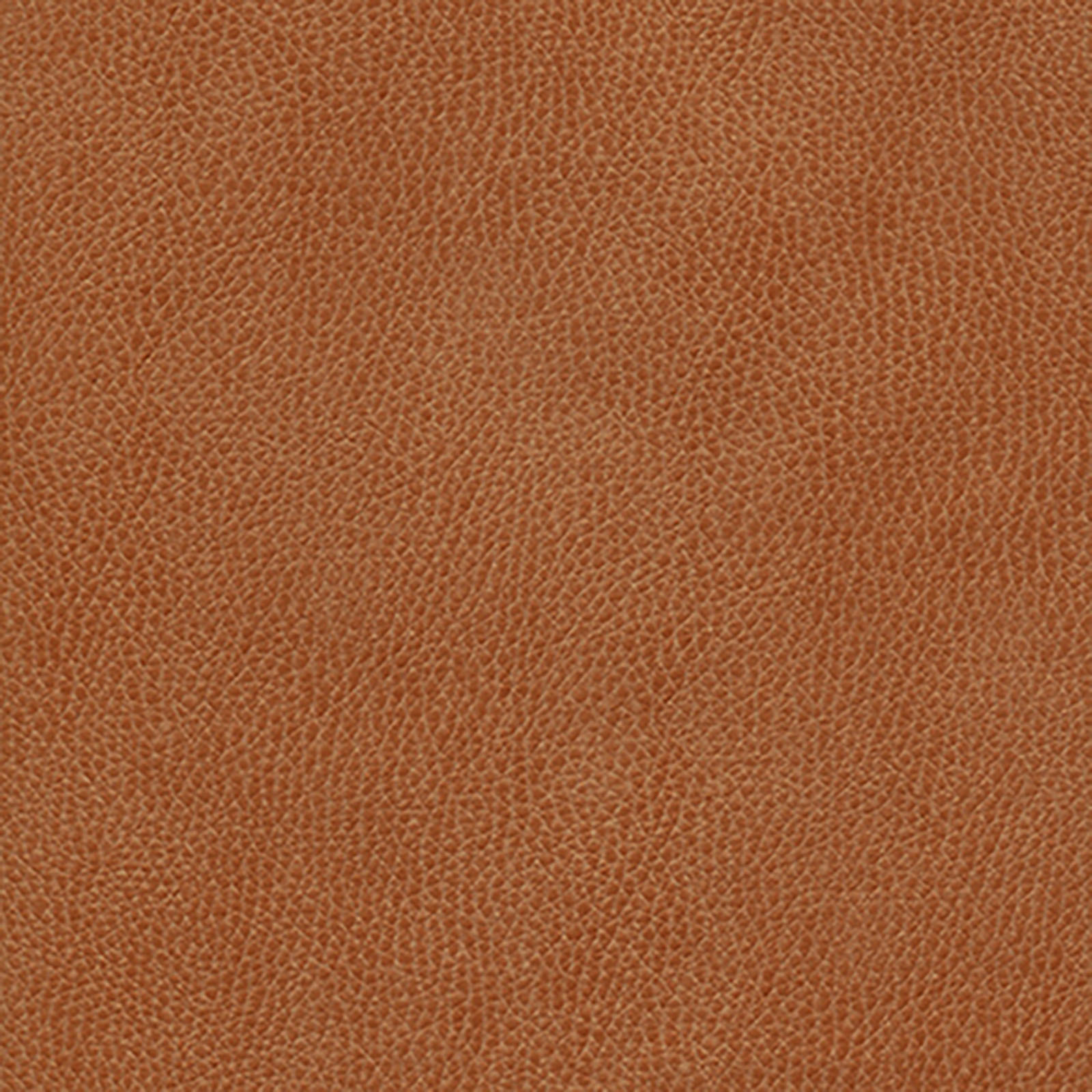 Skintex-Sf - Vintage - Pumpkin