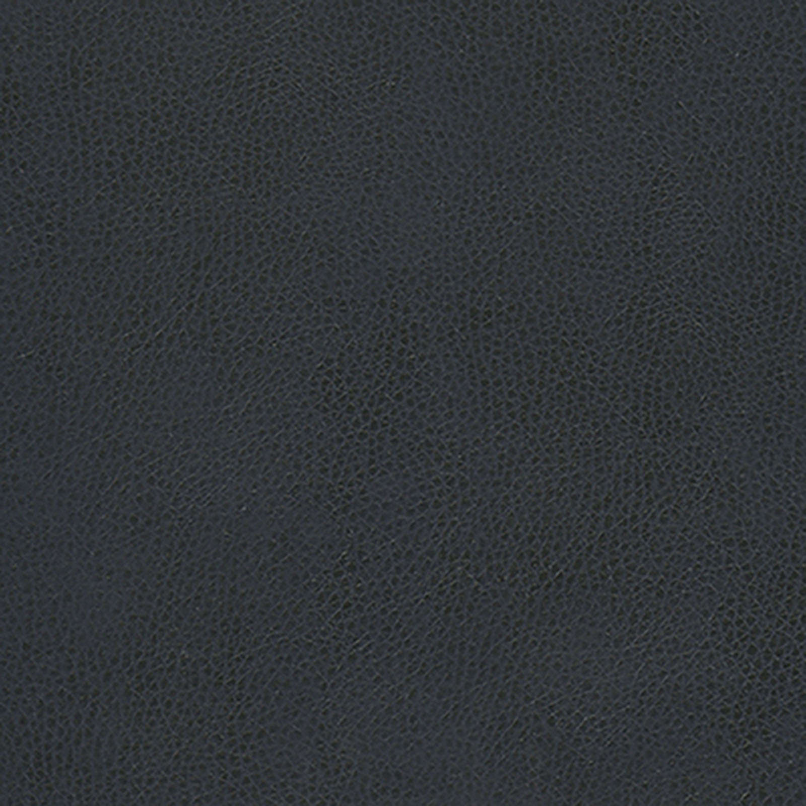 Skintex-Sf - Vintage - Seal