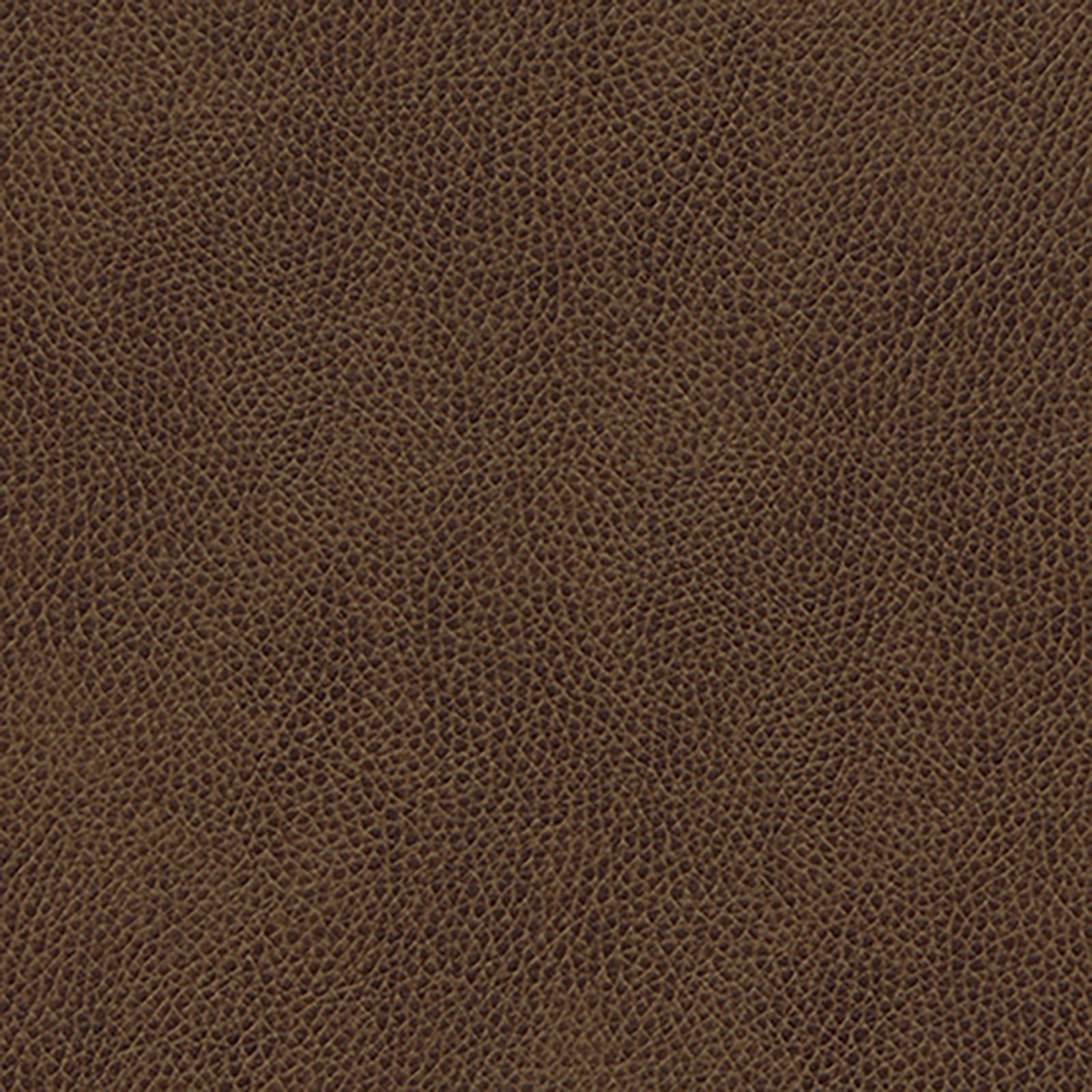 Skintex-Sf - Vintage - Sienna