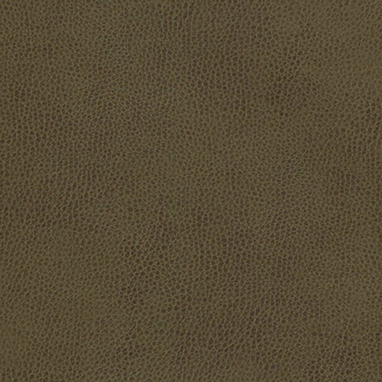 Skintex-Sf - Vintage - Spruce