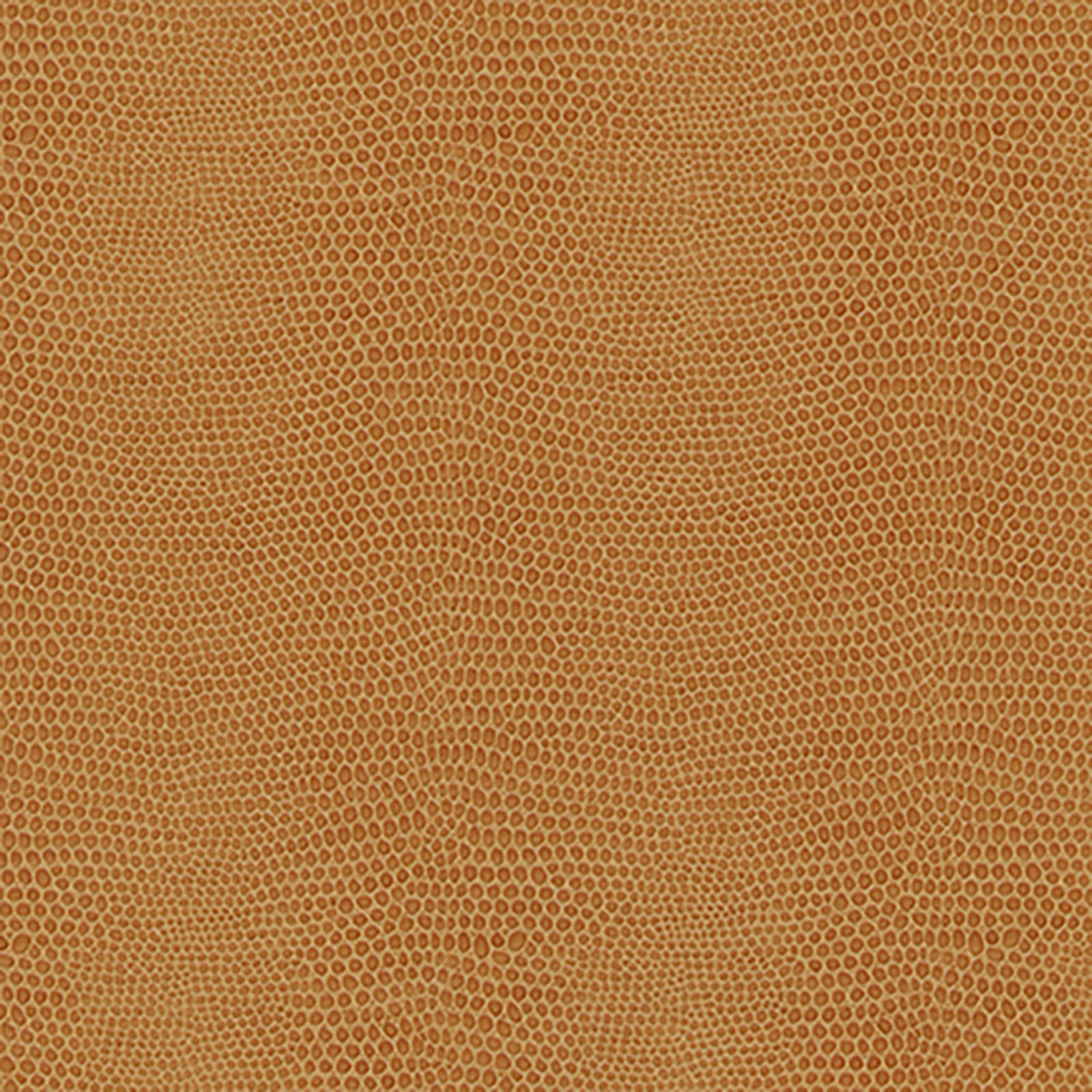 Skintex - Snake - Acorn