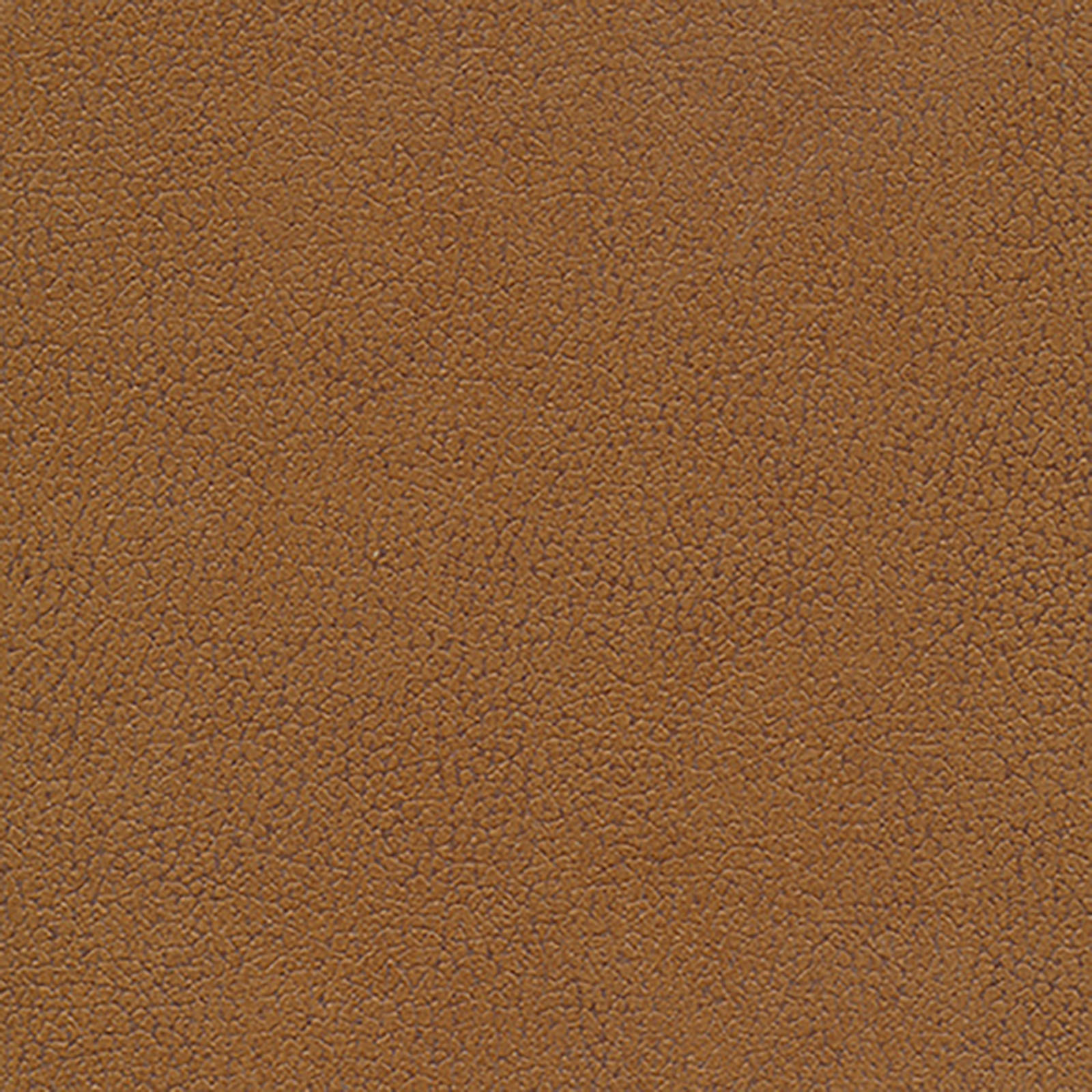 Texuede - Otro - Acorn