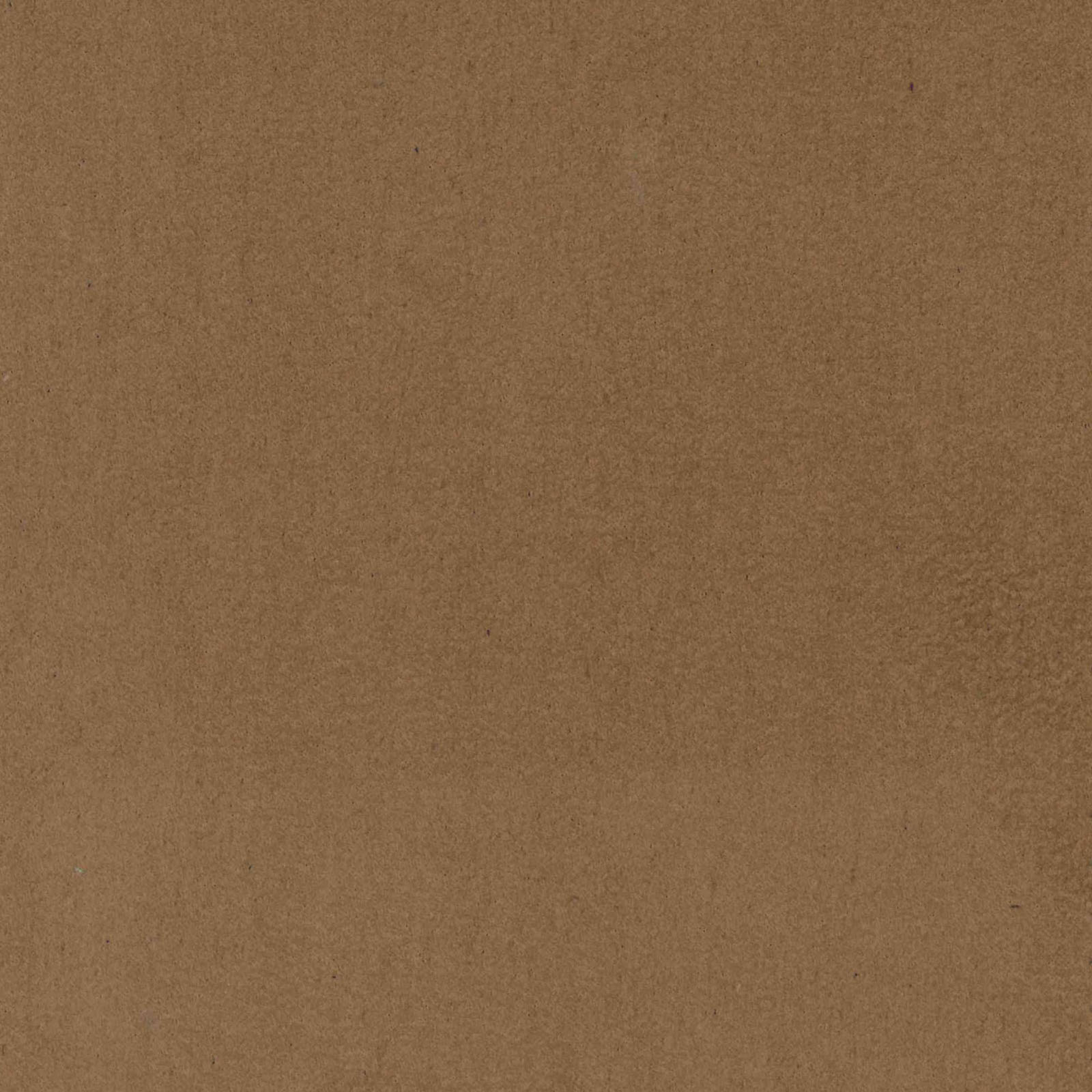 Pro Suede - Cashew