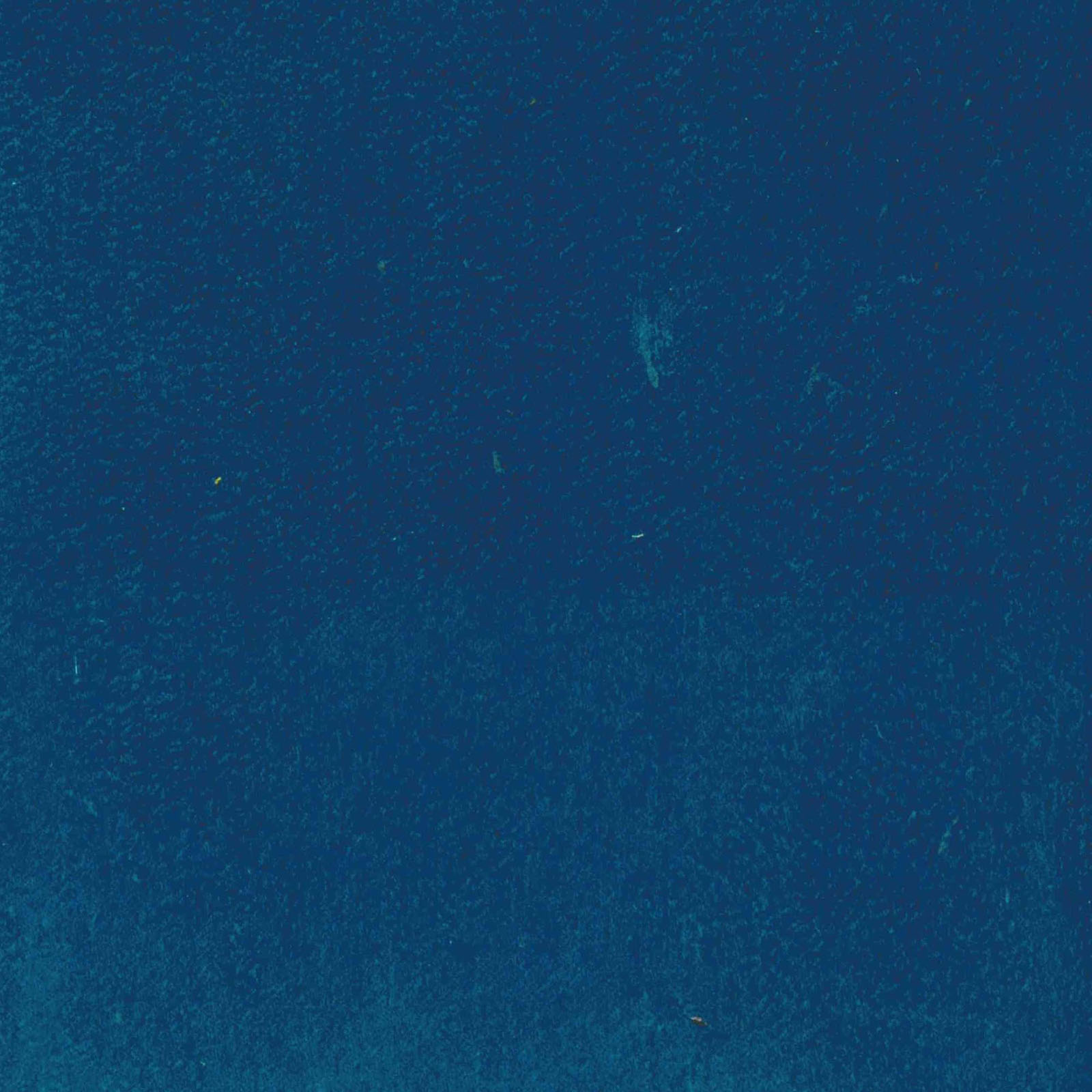 Pro Suede - Sea