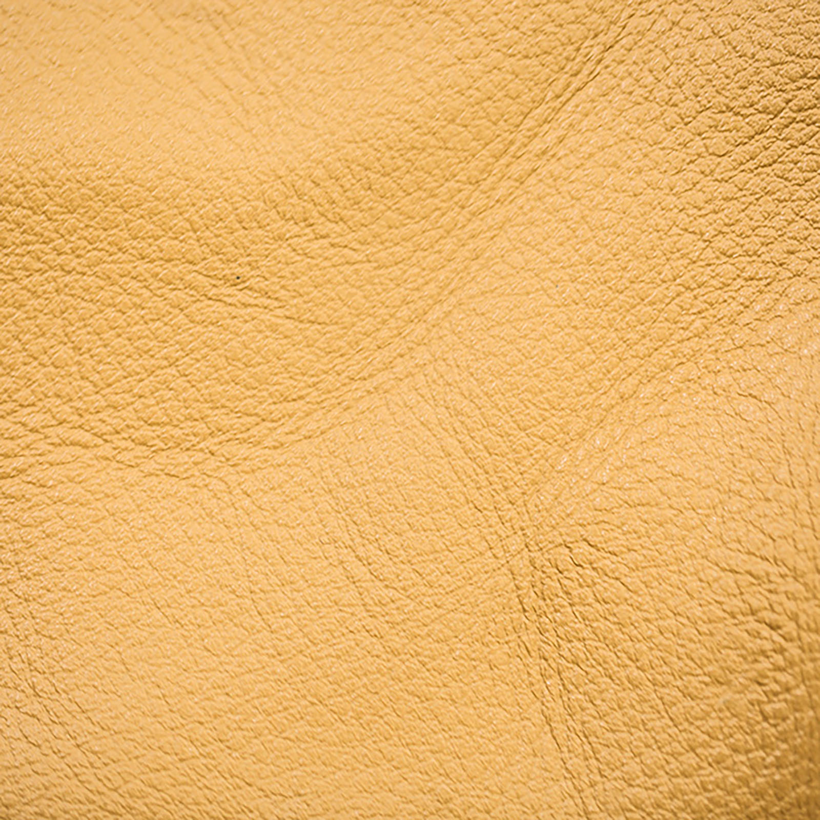 Legacy Leather - Camel
