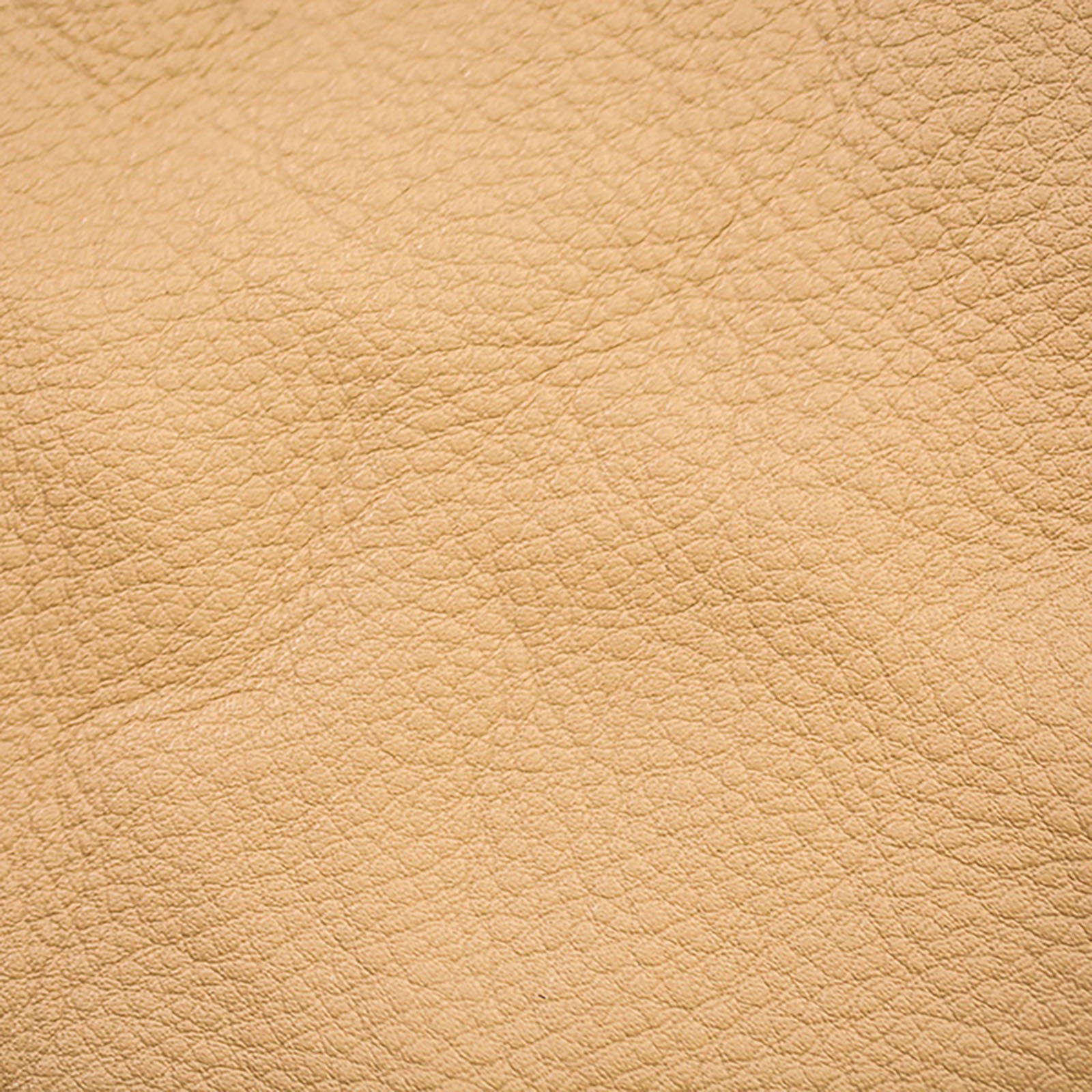 Legacy Leather - Canyon
