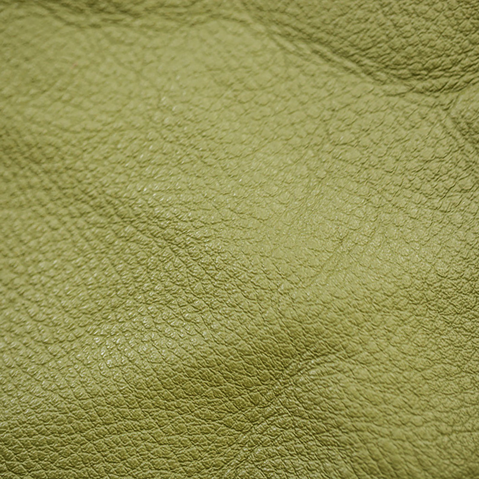 Legacy Leather - Lime