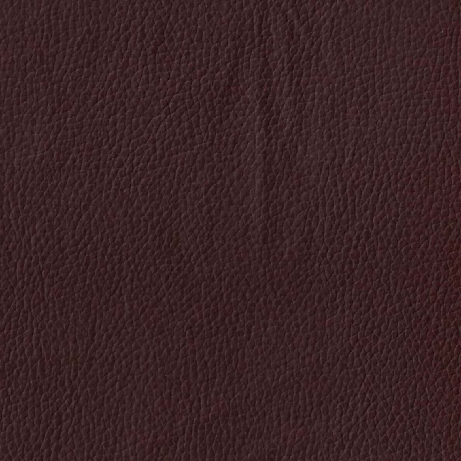 Champion - Brown