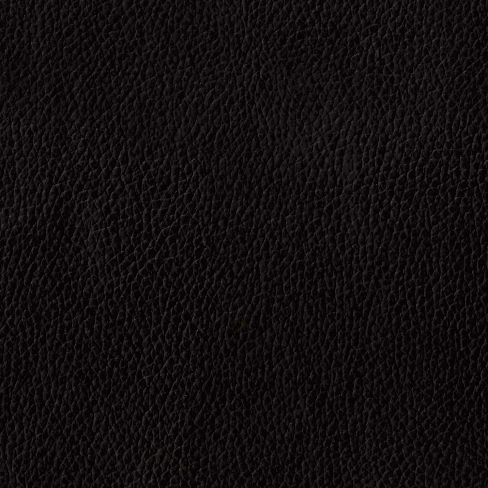 Champion - Dark Brown