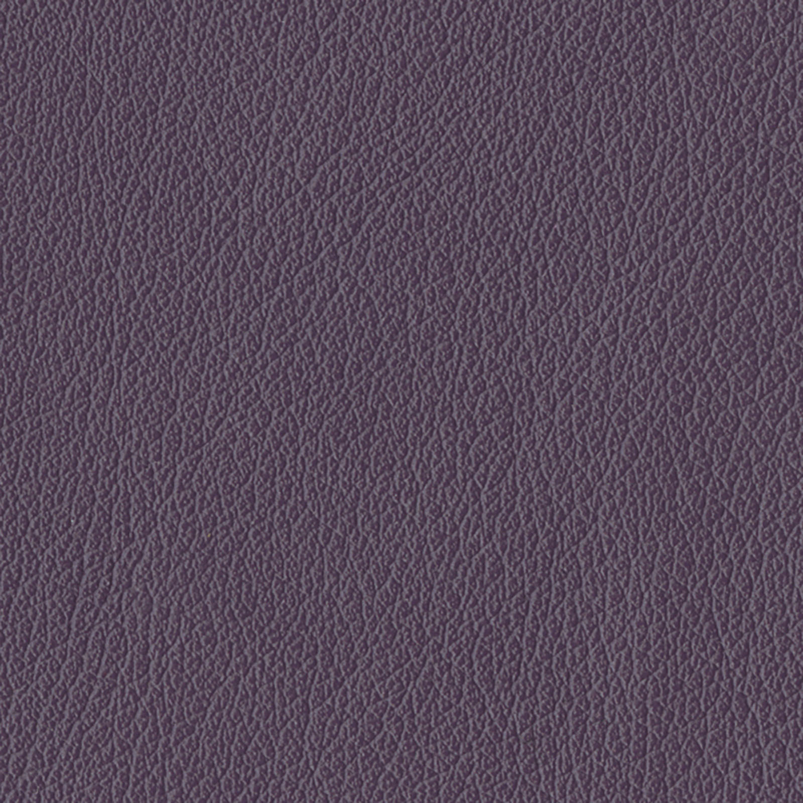 Castillo - Grape