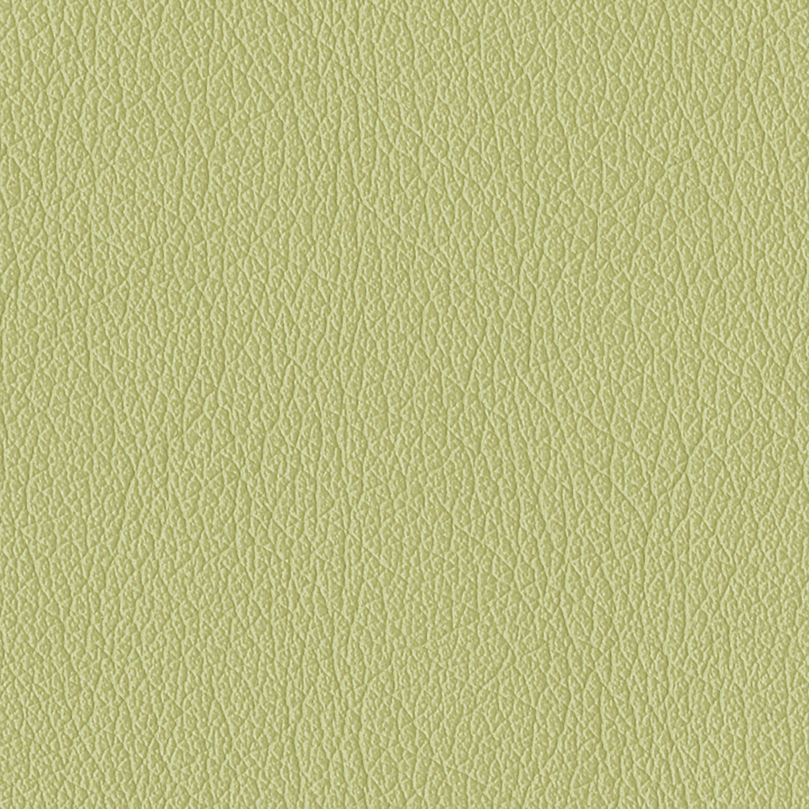 Castillo - Honeydew