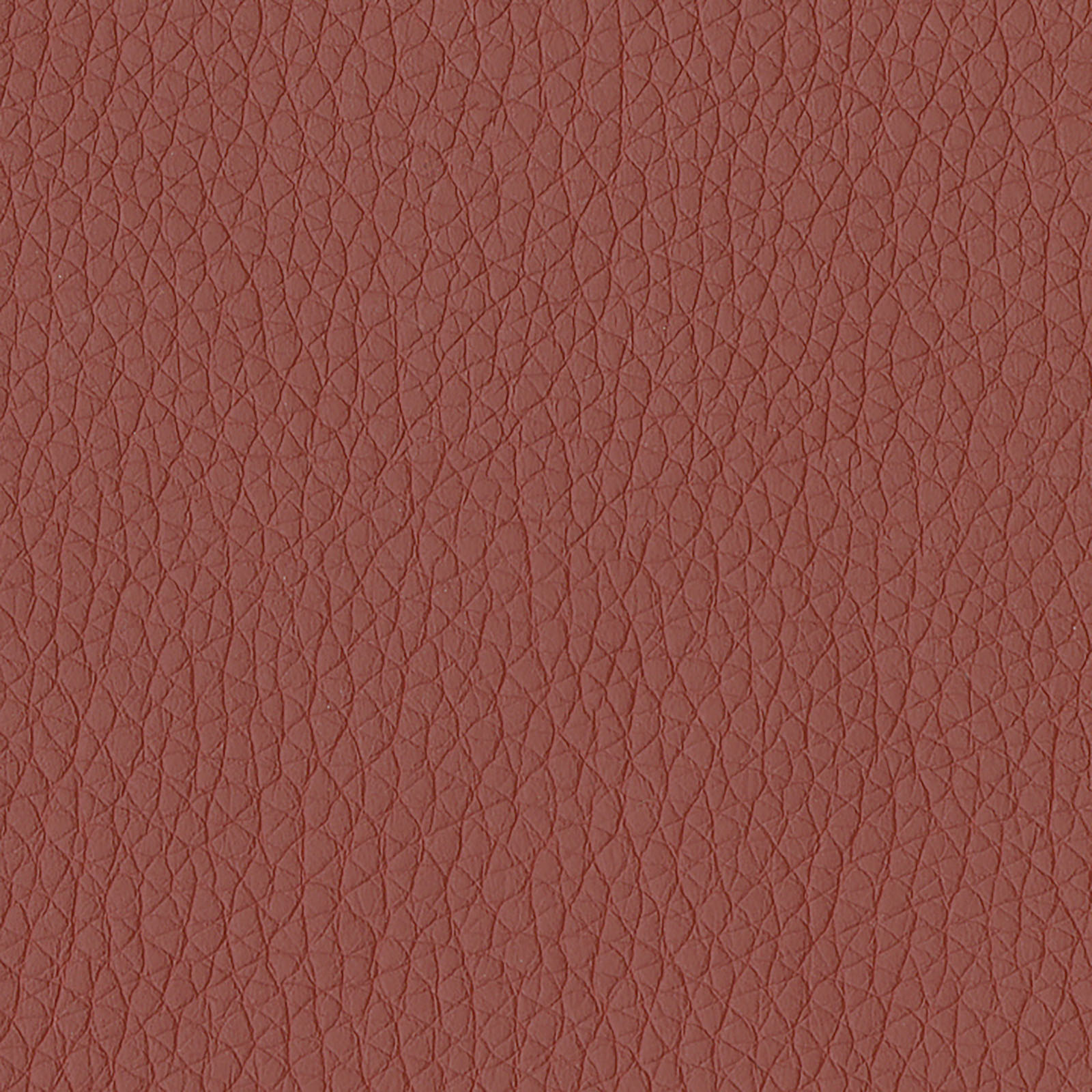Dillon - Cordovan