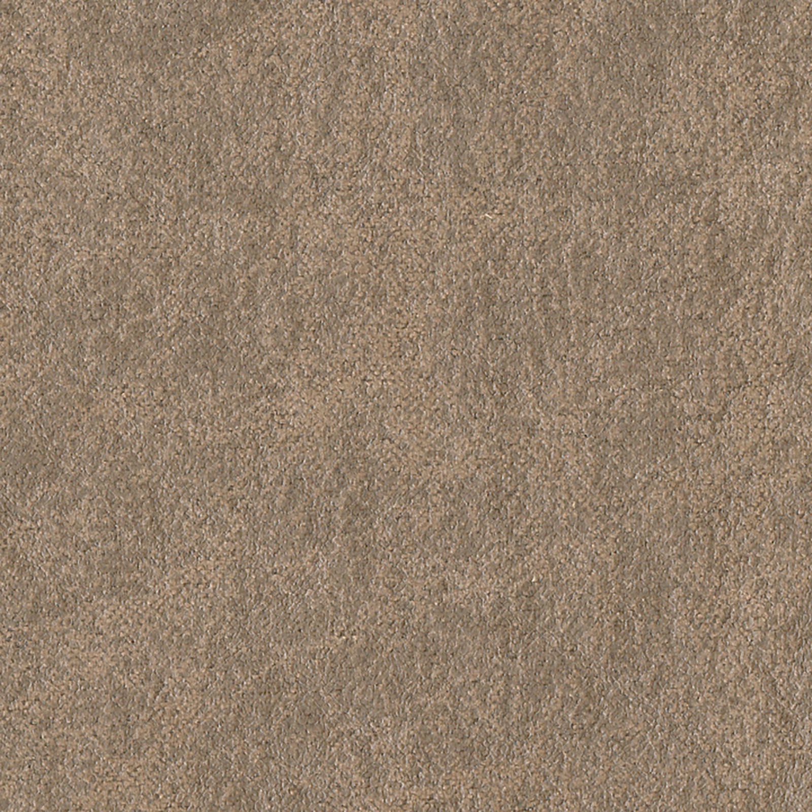 Palance - Silt