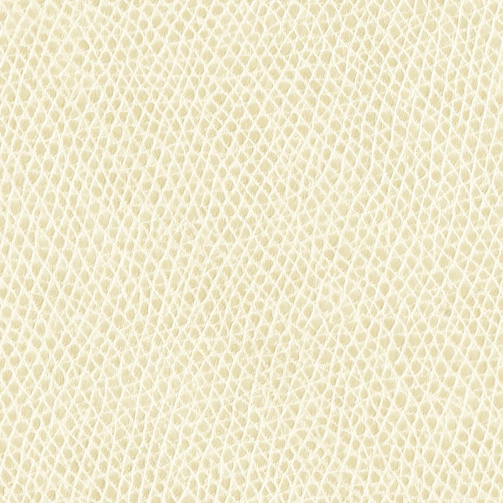 Rushmore - Parchment