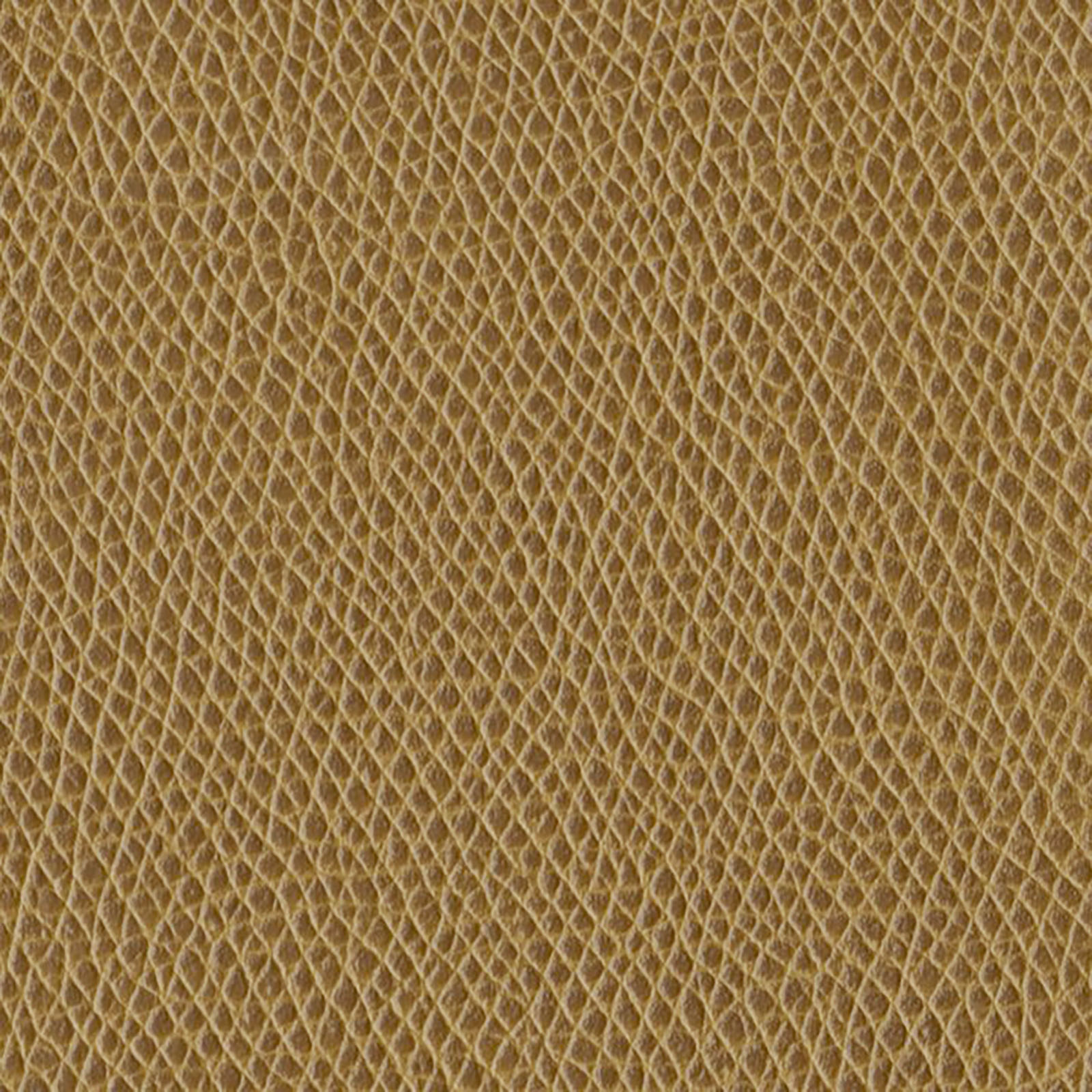 Rushmore - Teak
