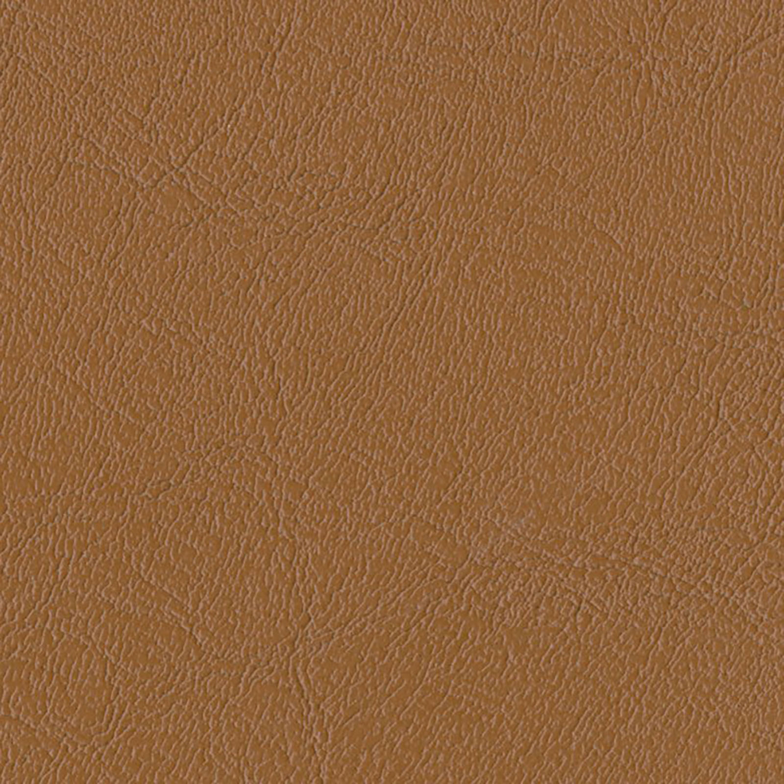 Yosemite - Penny