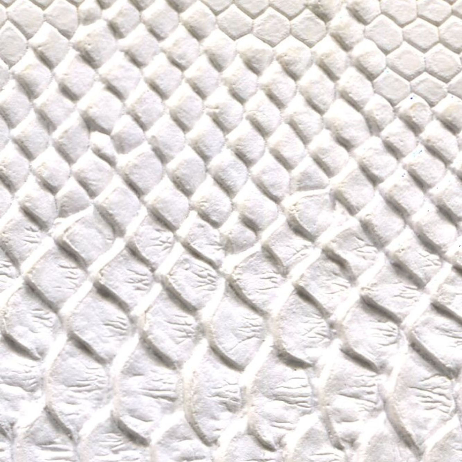 Serpiente - SER-100 - White