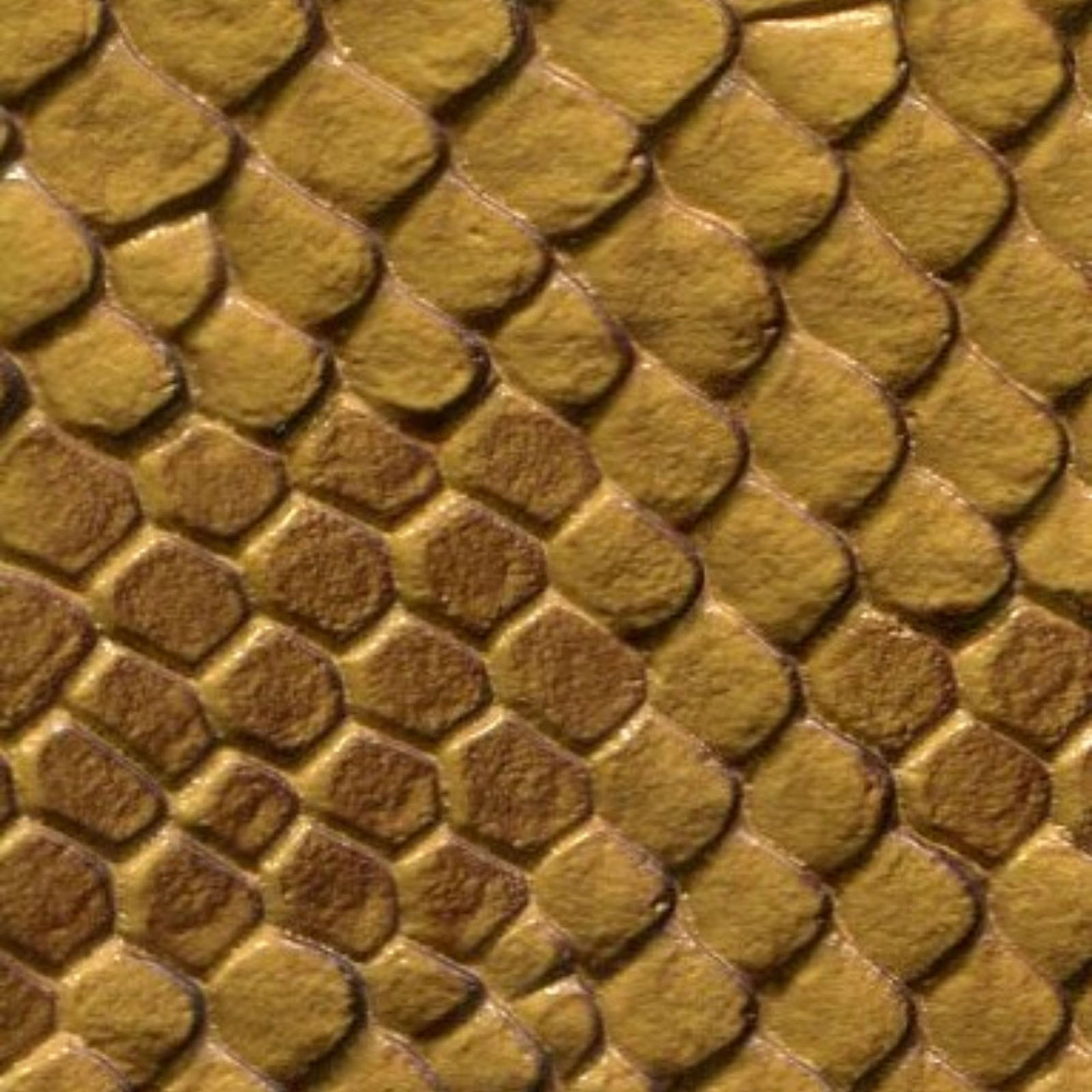 Serpiente - SER-105 - Gold