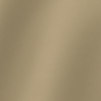 Galaxy - Colt - Cream